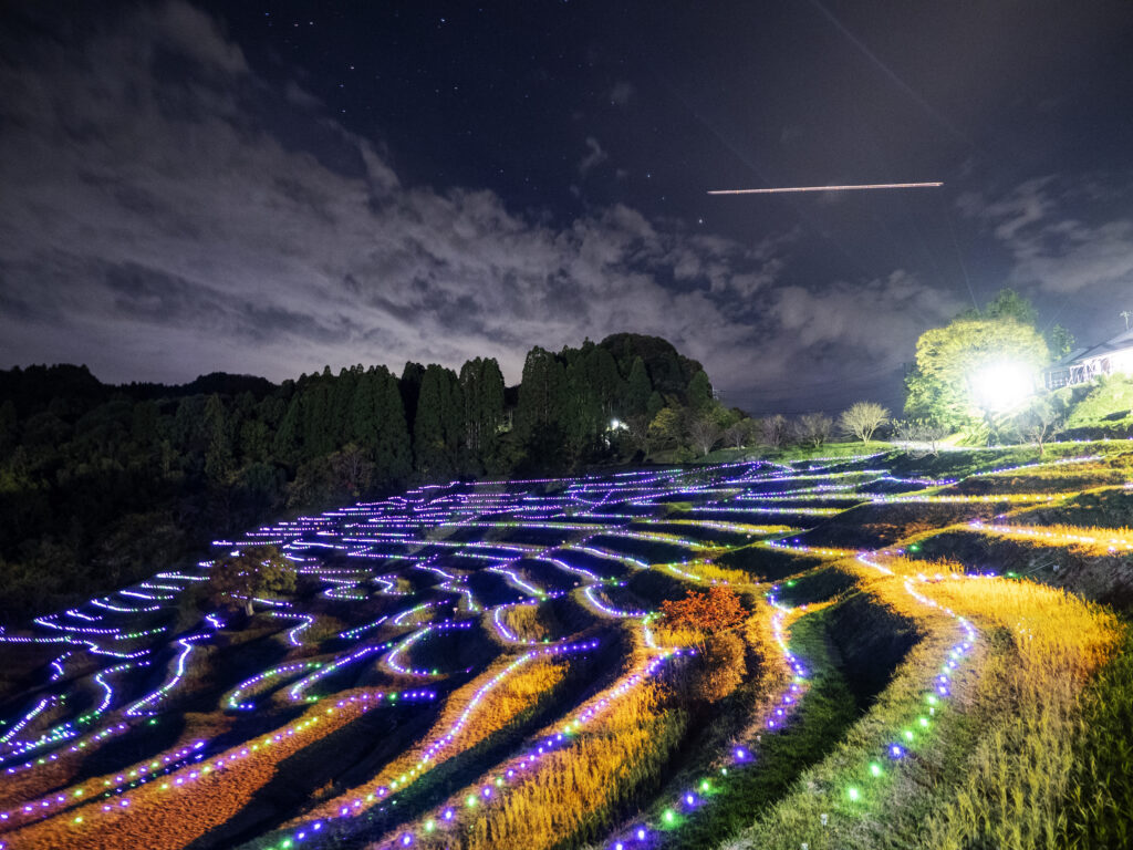 東京に一番近い棚田のイルミネーション