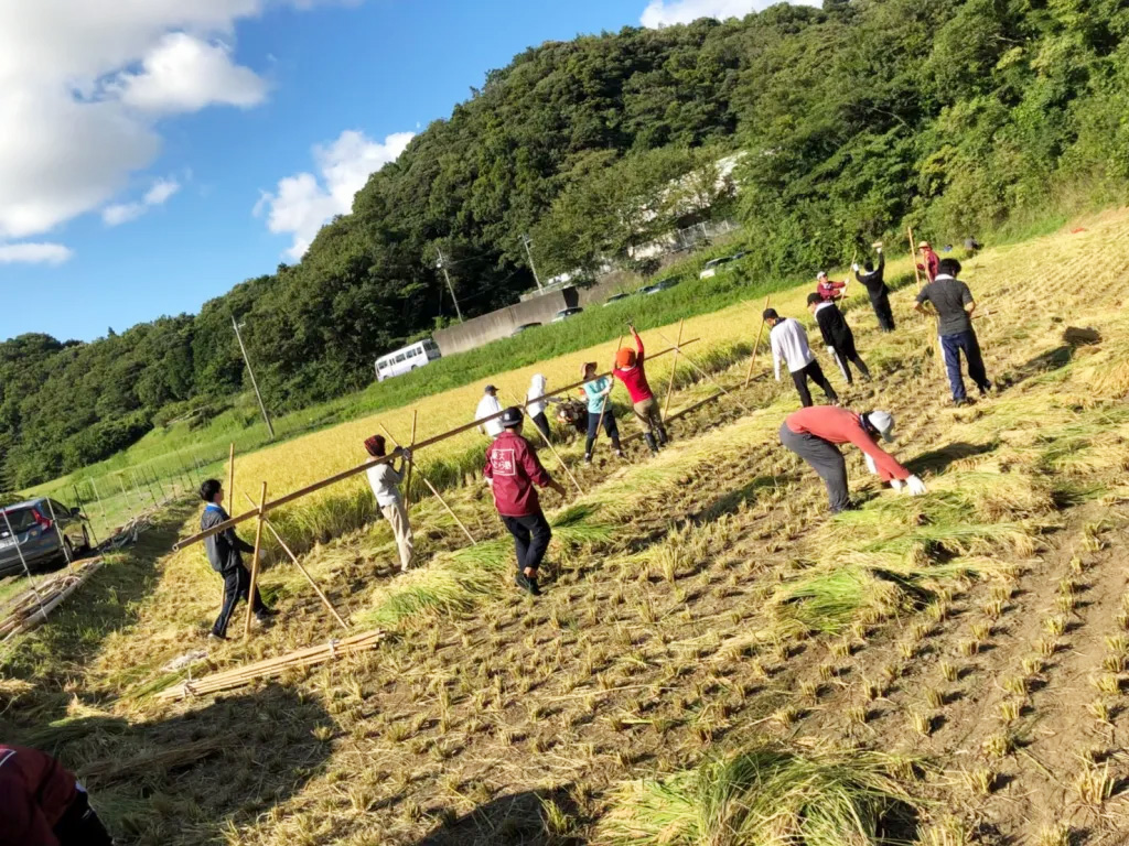 田んぼでの作業
