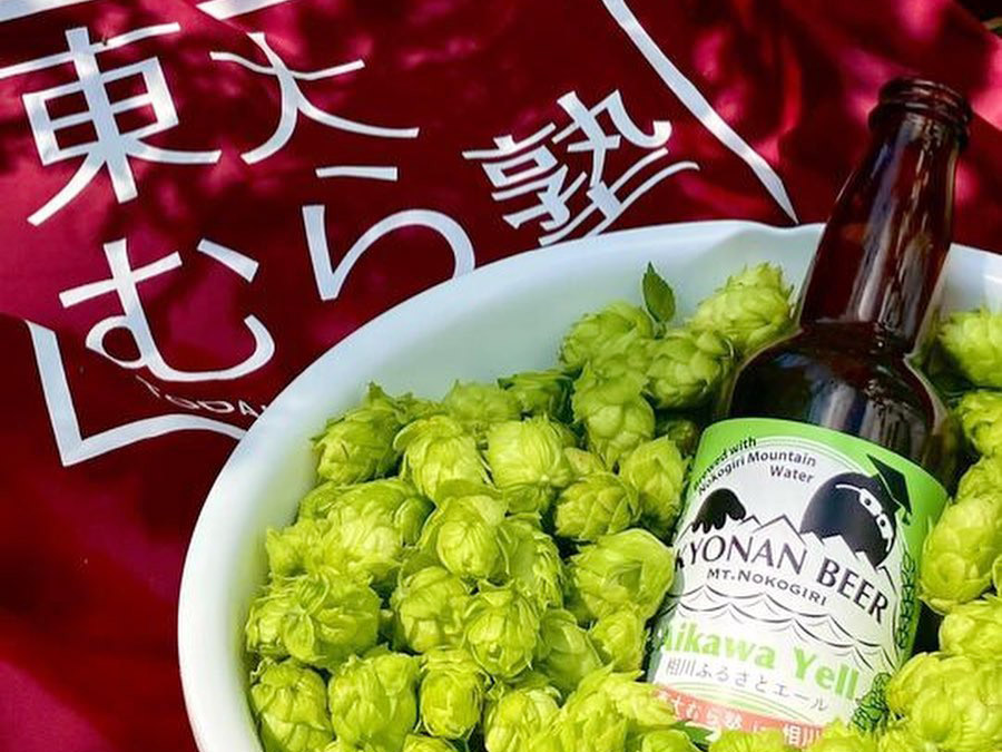 東大むら塾と鋸南麦酒のコラボビール