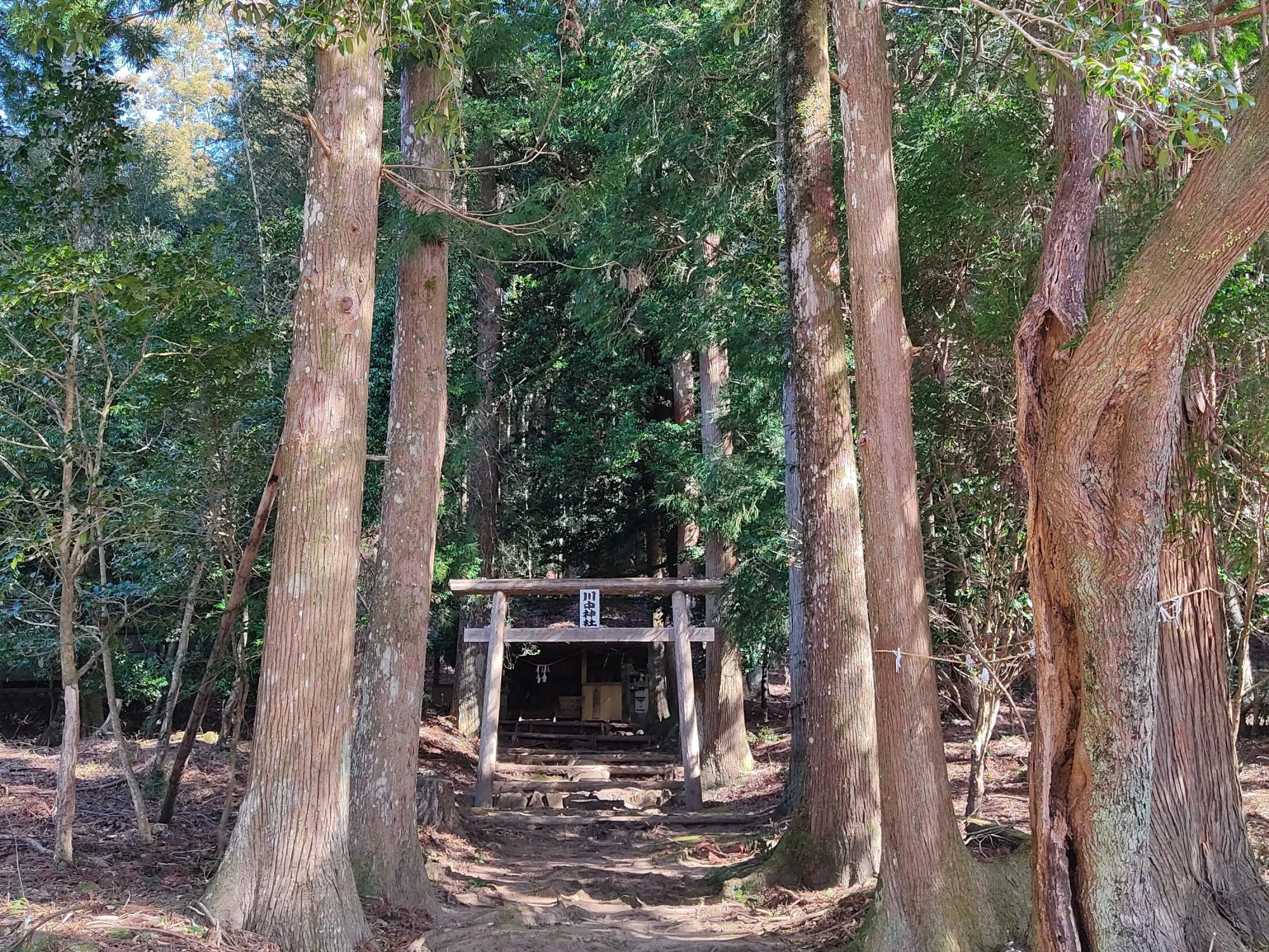 山奥にある川中神社は神々しい雰囲気