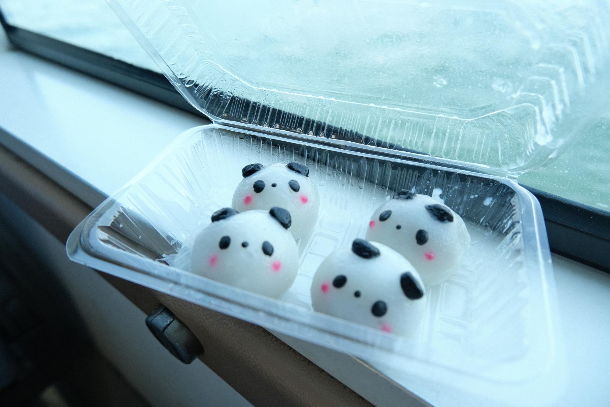 帰りは予定通り14時に乗船。南京町で購入した「パンダ饅頭」を食べたり、本を読んだり、ウトウトしたり