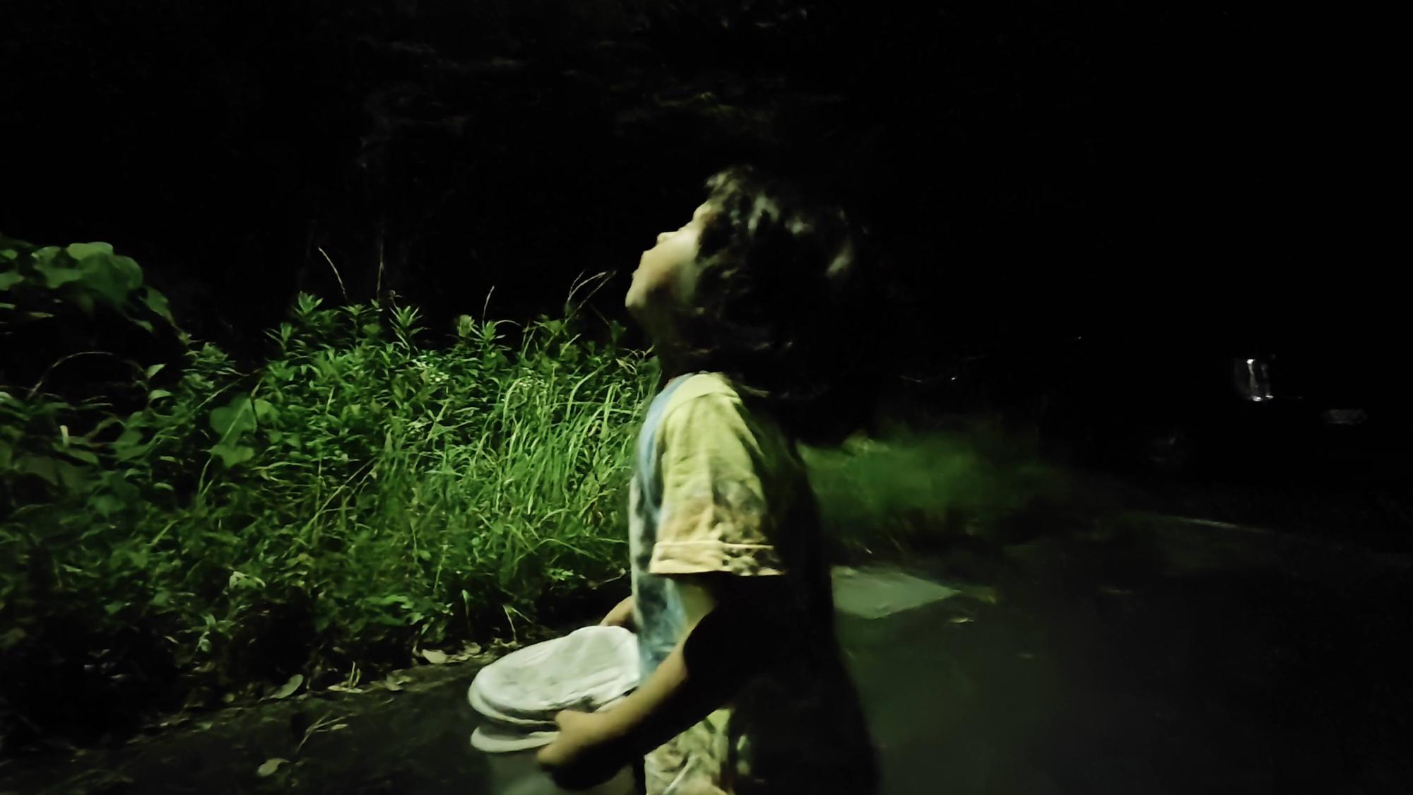 子供はどうしてもクワガタの方向に集中してしまいます