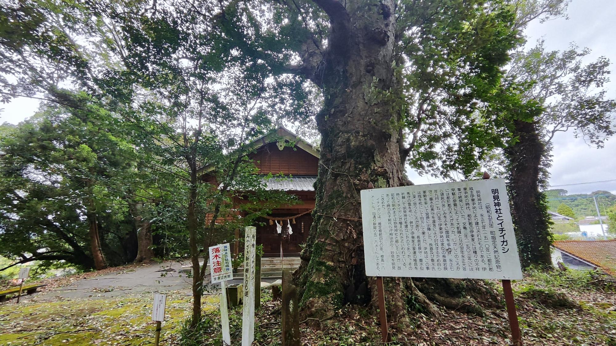 文化祭での披露の前に、午前中に明見神社に奉納されます