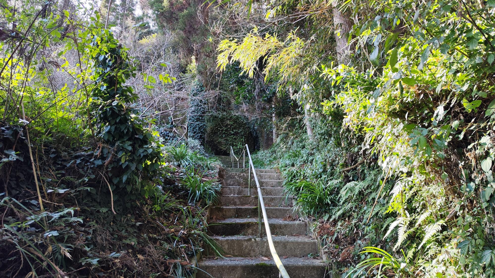 急な階段は、上りより下りに注意