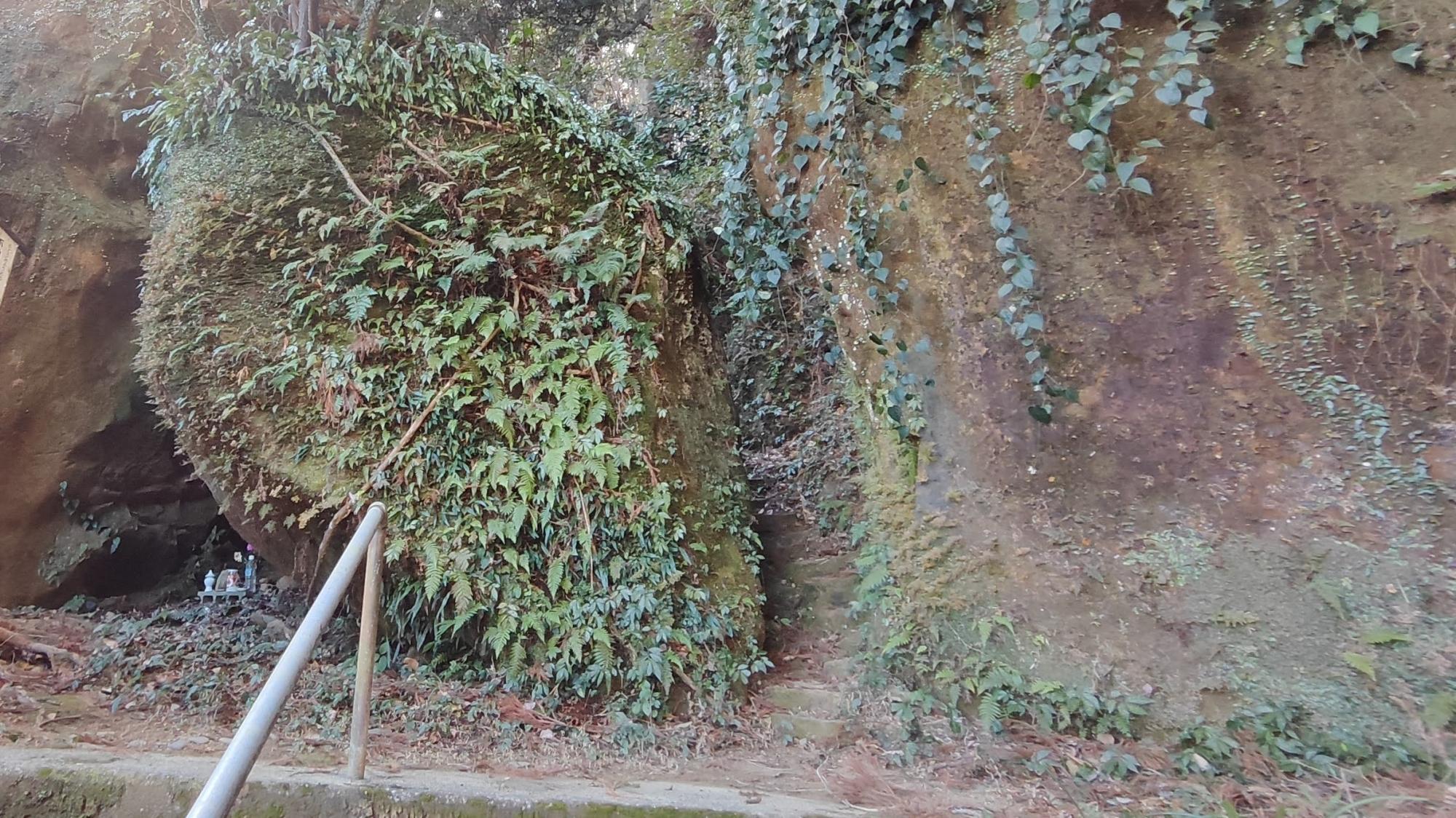 写真中央の狭い石段を上ります