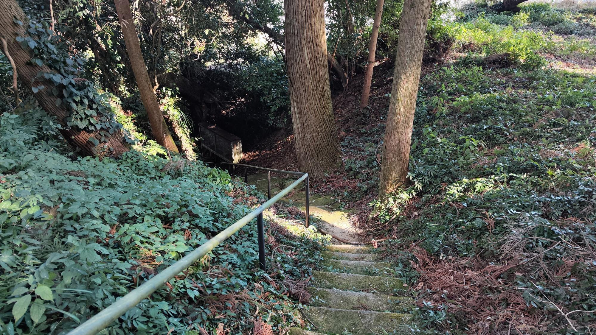 下りの石段。降りたときには気持ちがすっきりしてました
