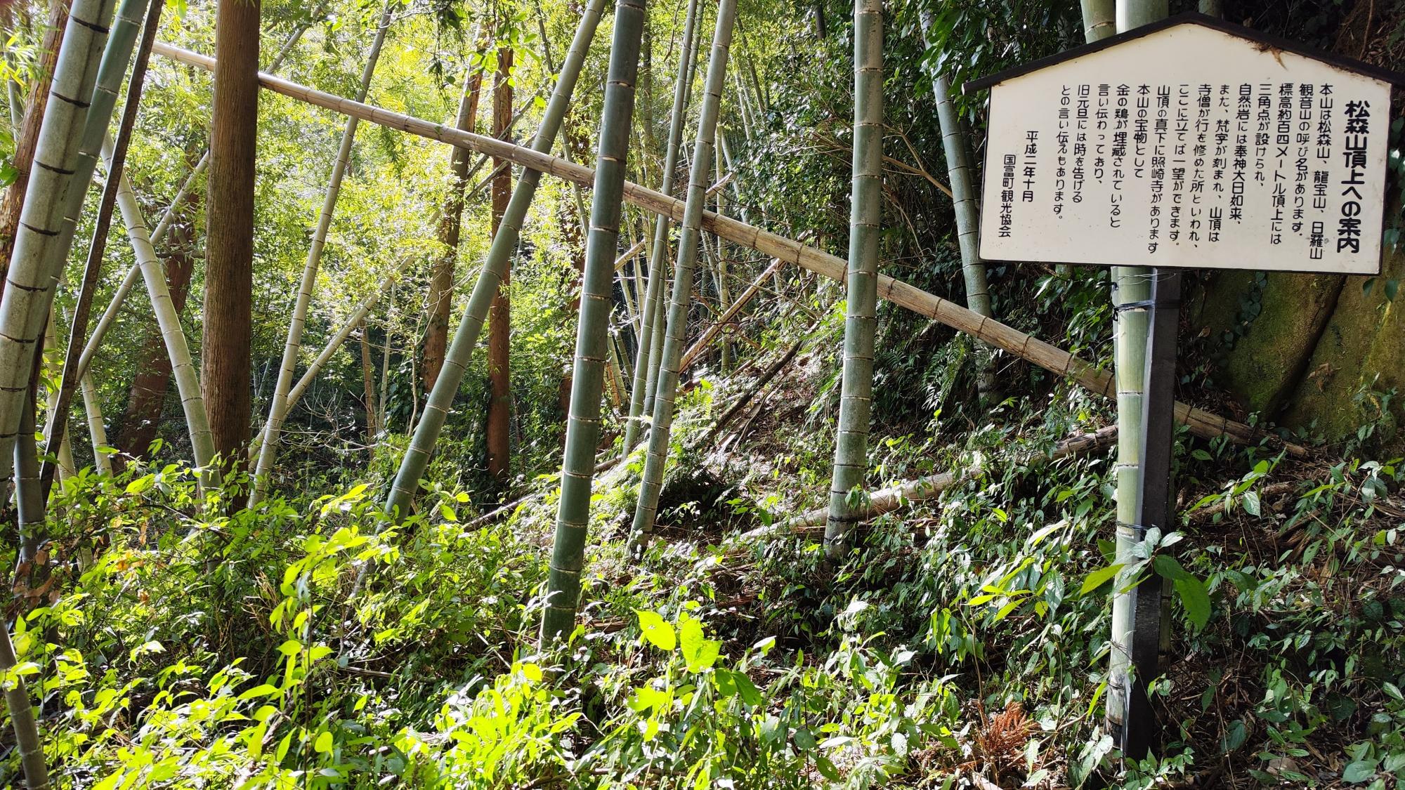 山頂への道は？