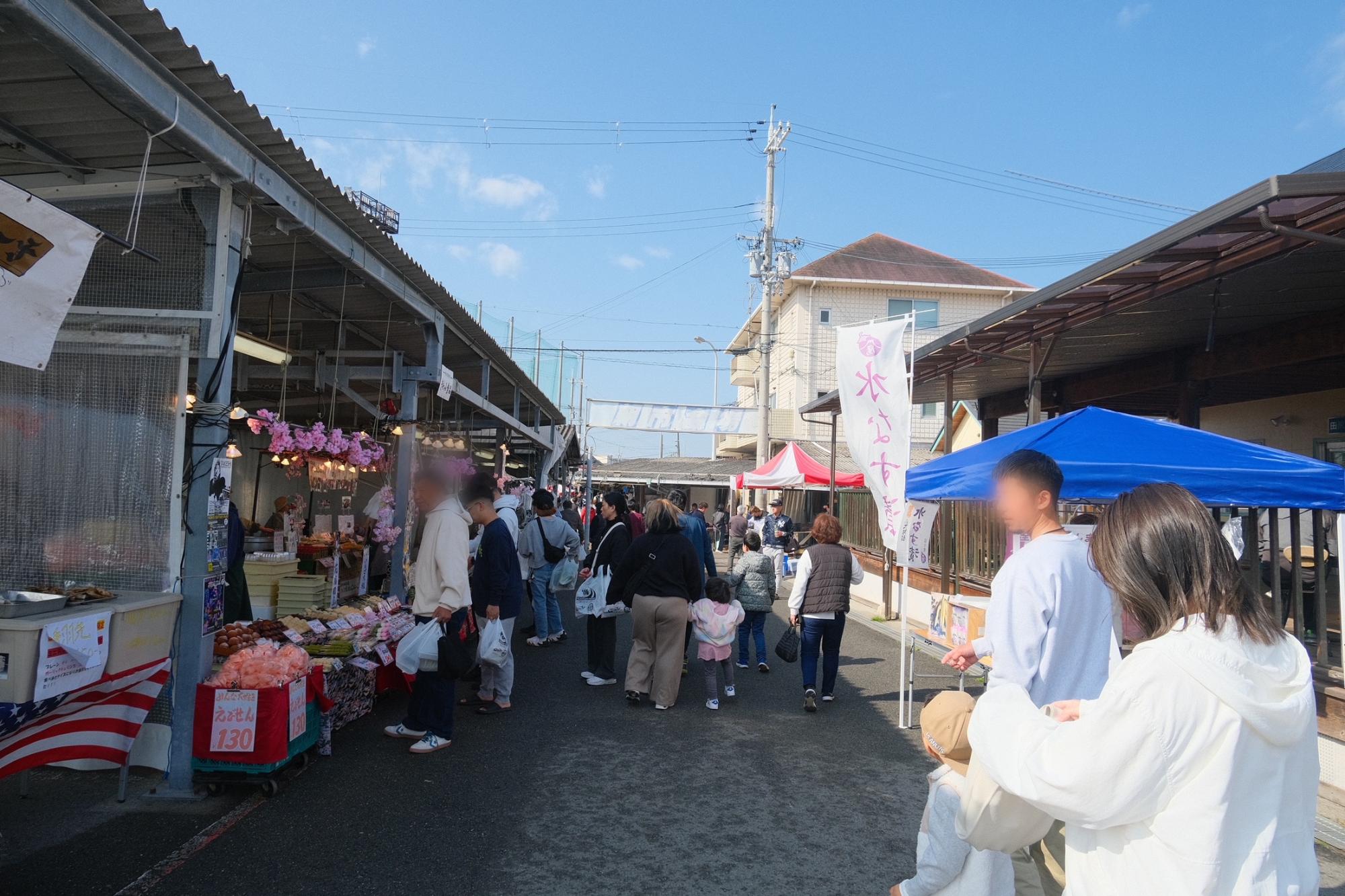 田尻漁港の朝市
