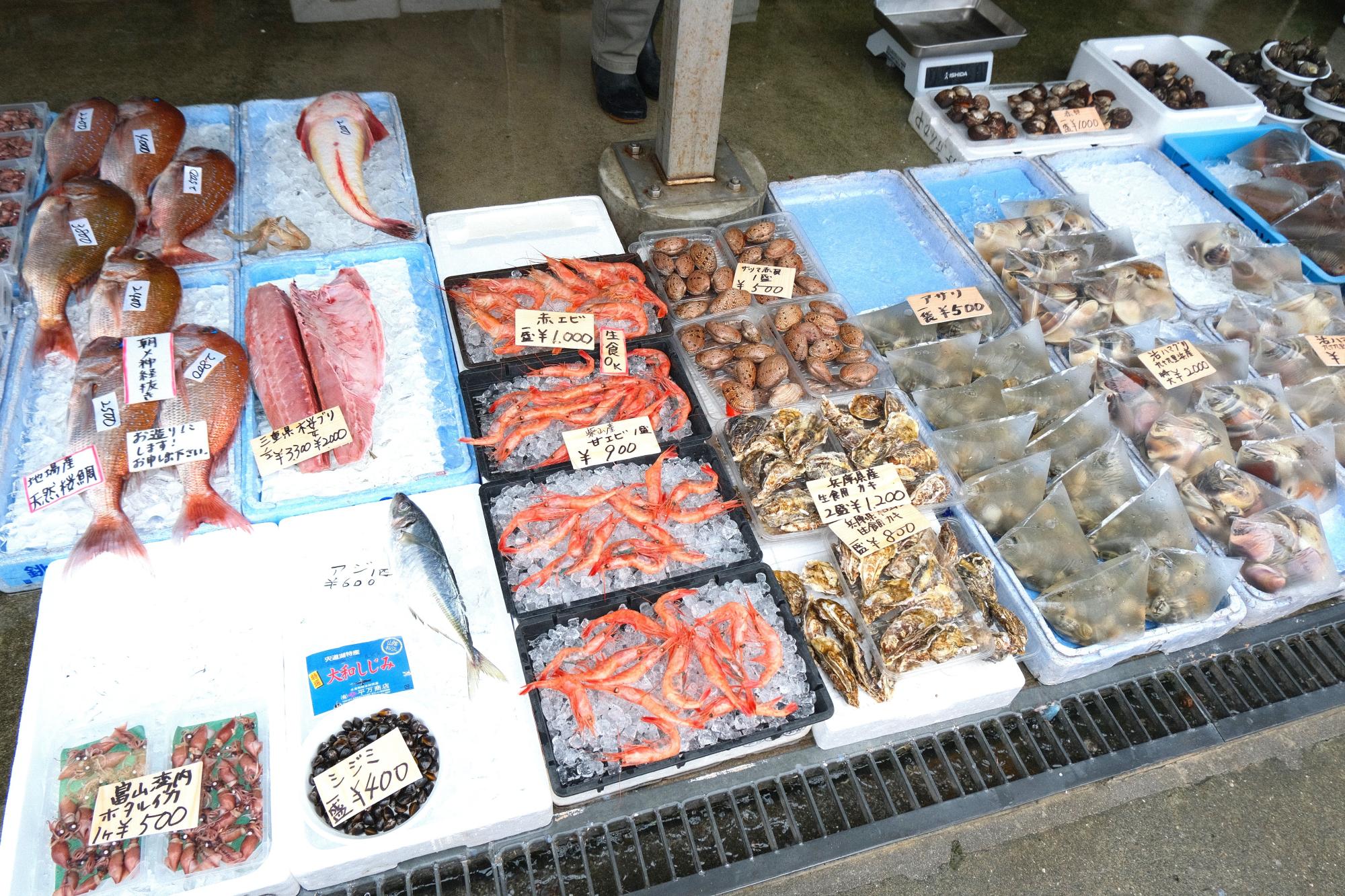 漁港ならではの新鮮な魚介類が豊富にならぶ
