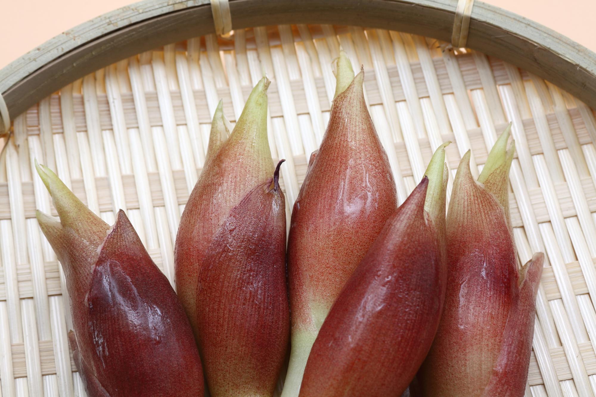 もうすぐ旬を迎える茗荷。独特の香りが食欲をそそります (写真引用：PhotoAC)