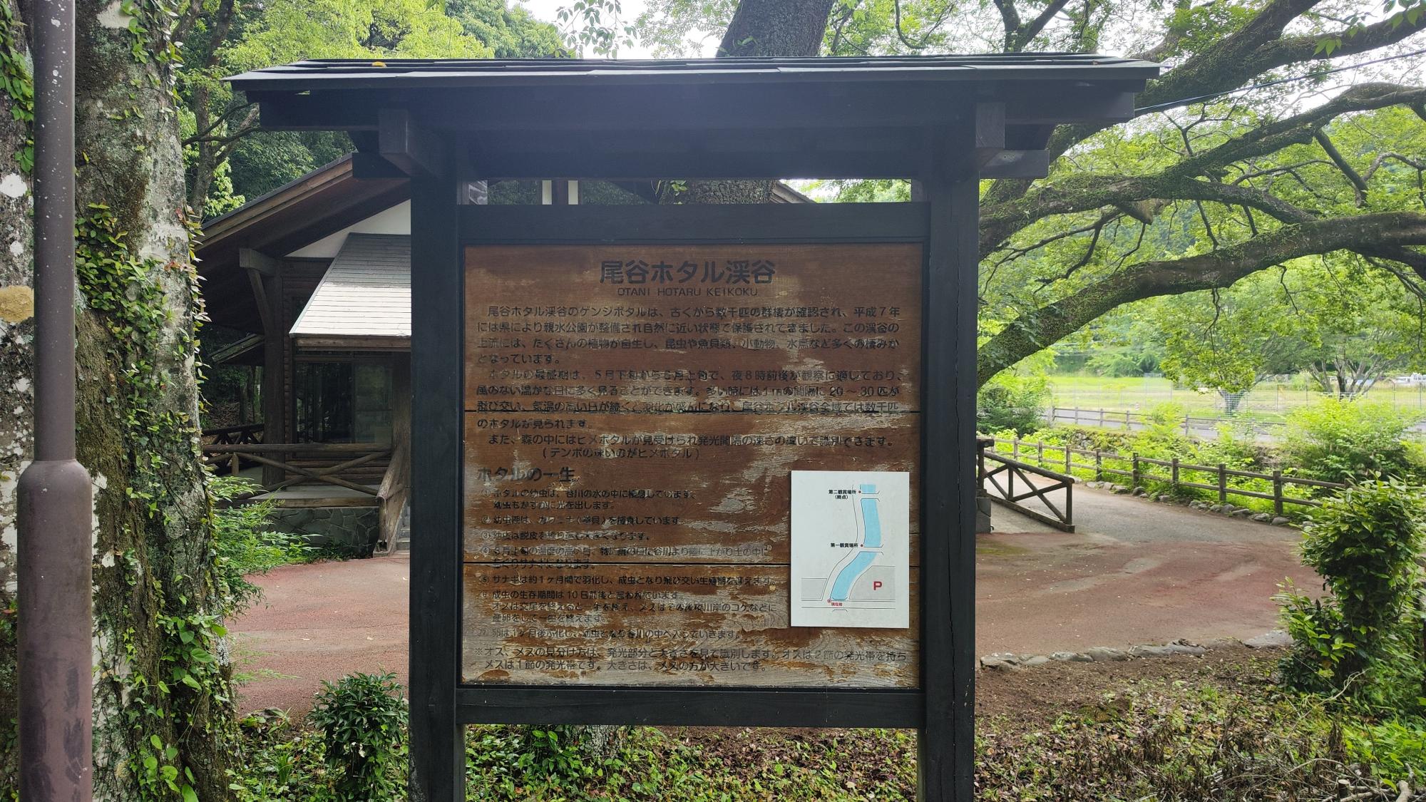 「尾谷ホタル渓谷」の案内板。ホタル観賞のポイントや注意事項がまとめられています