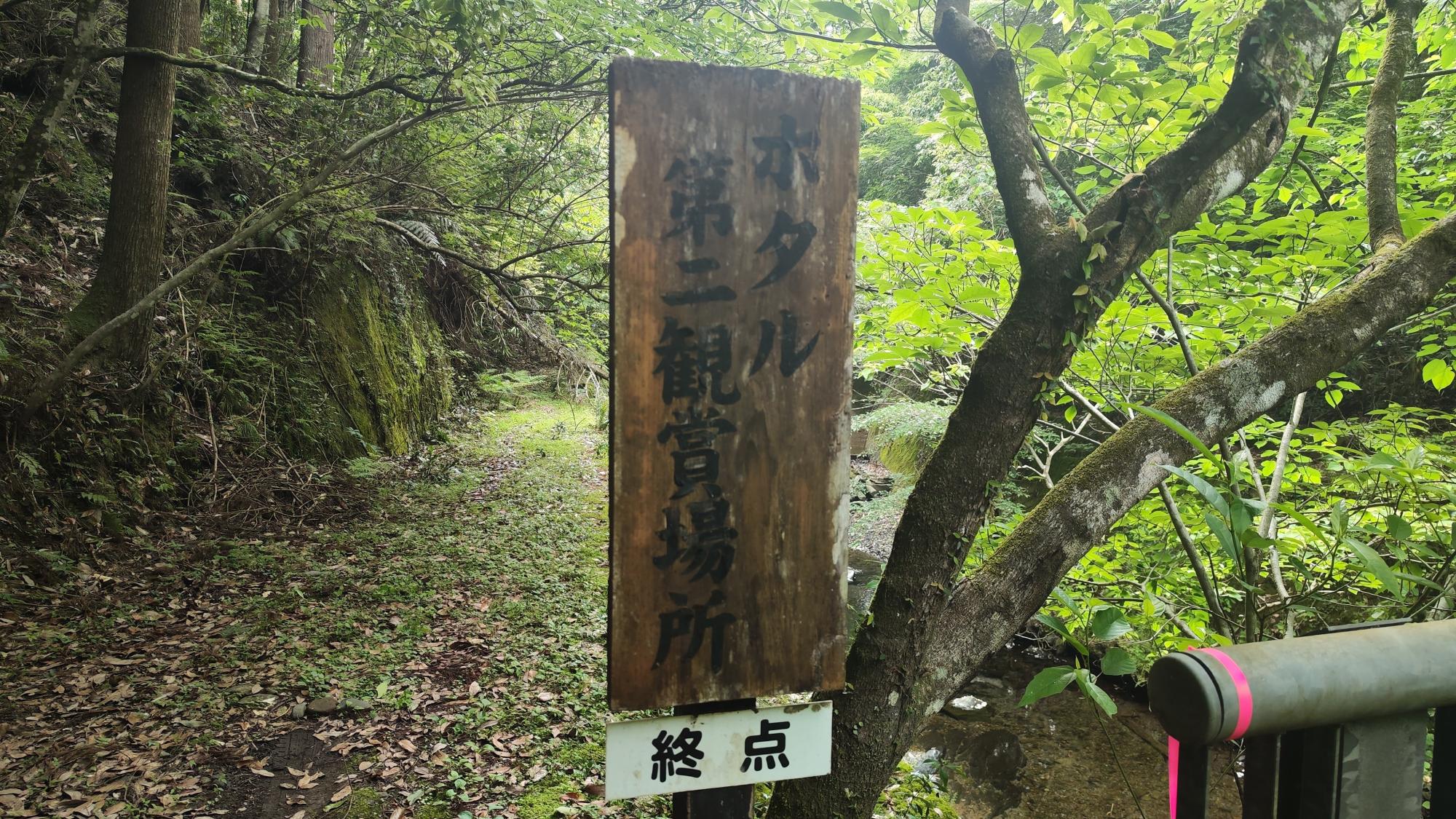 「終点」と書かれています。鑑賞スポットはここで終わりです