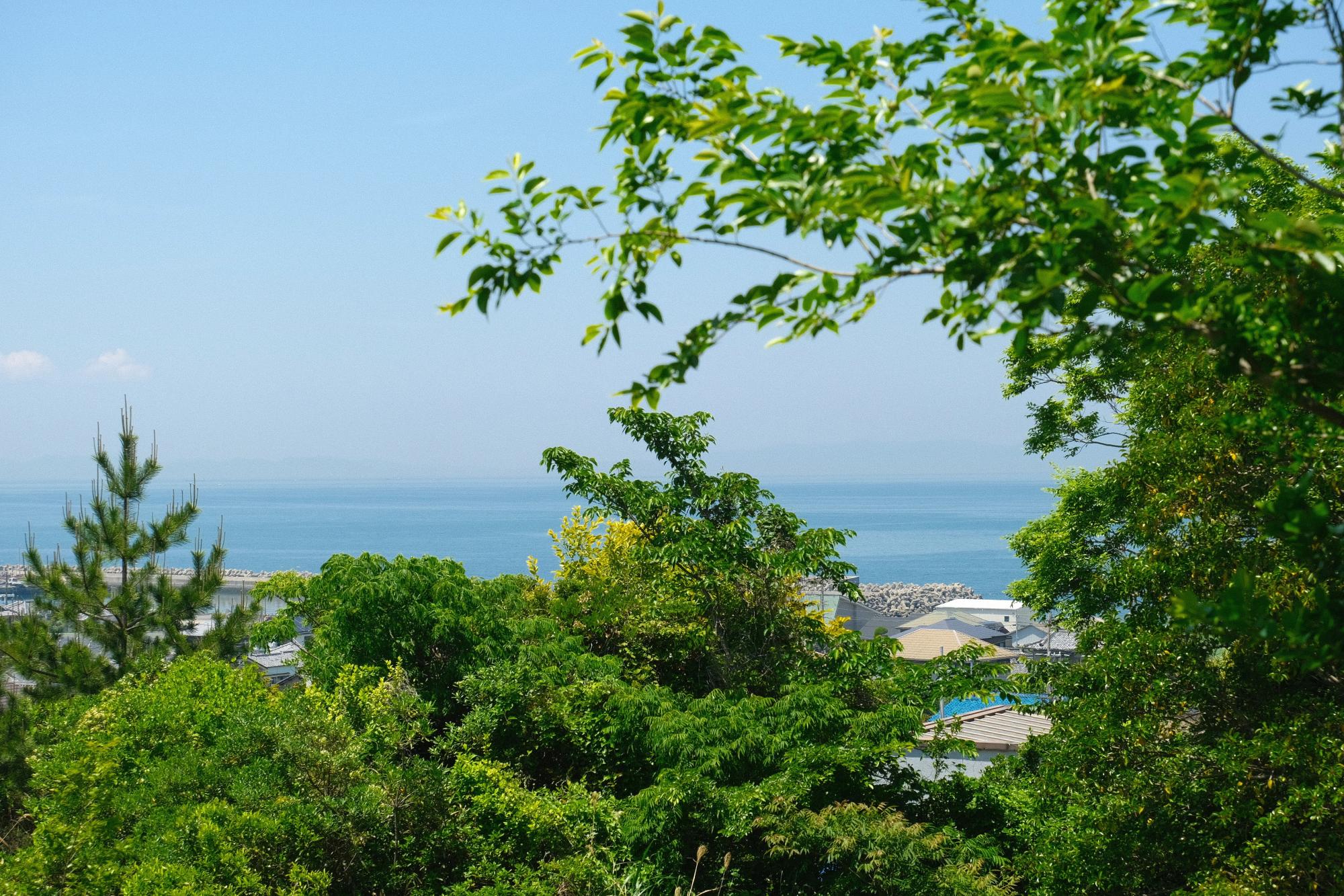 離れ小島ですか??