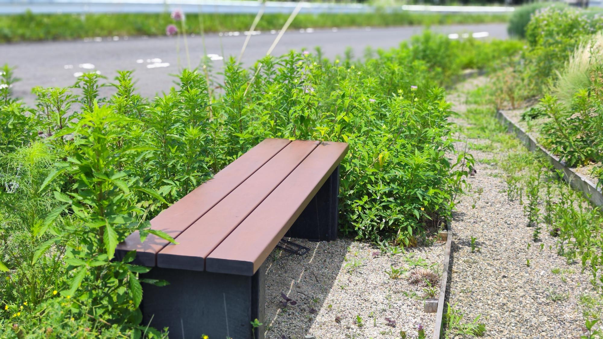 ベンチに座って、のんびり癒しの時間を