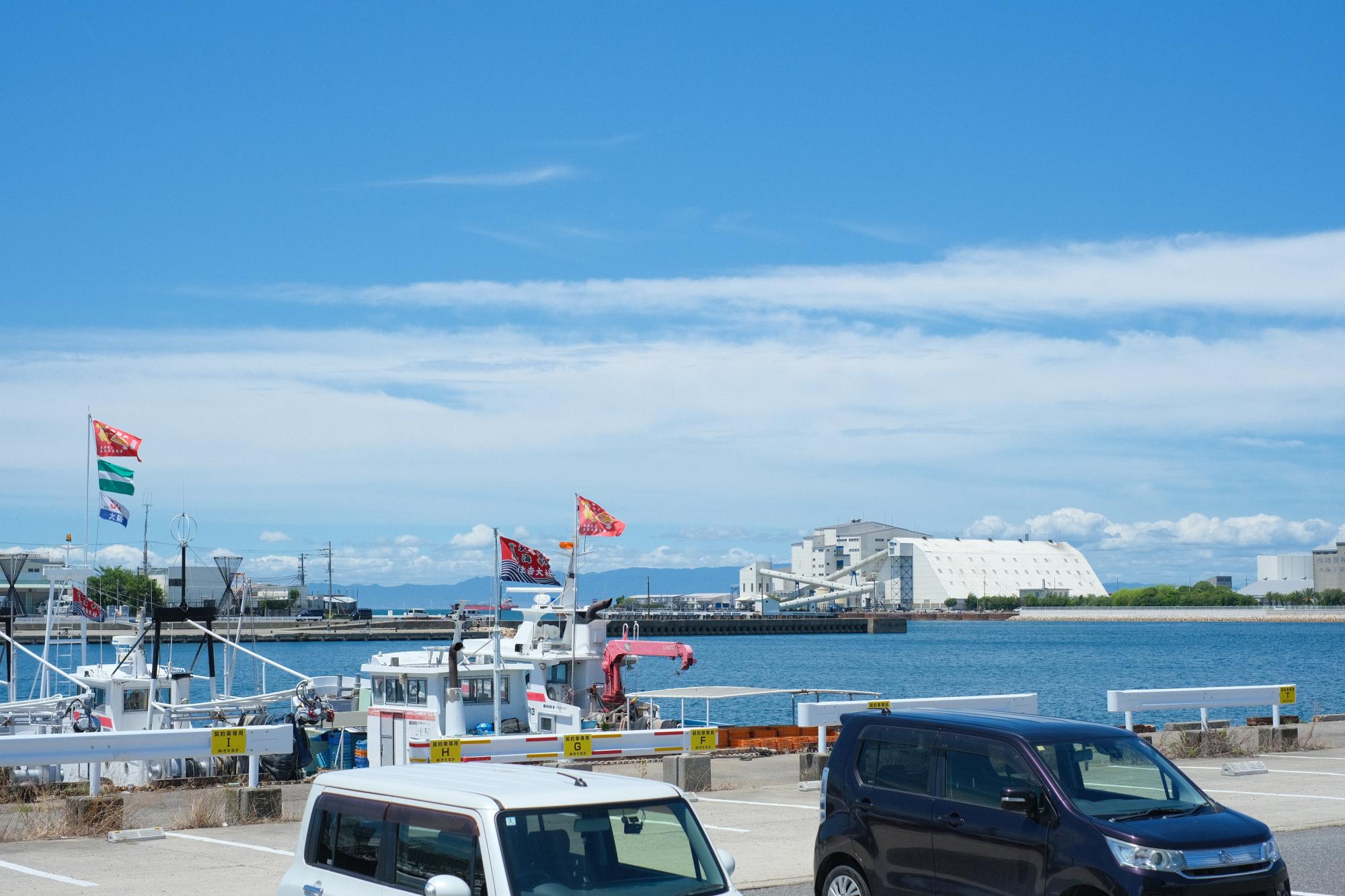 朝は釣り客でにぎわう海。アジやイワシが釣れる