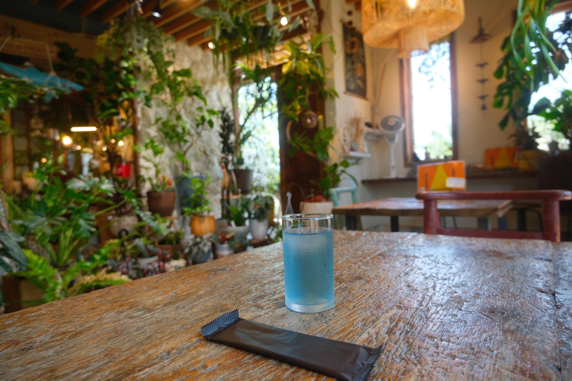 不思議と無味無臭で飲みやすいバタフライピーティー。自然由来のきれいなブルーが緑豊かな空間に映えます