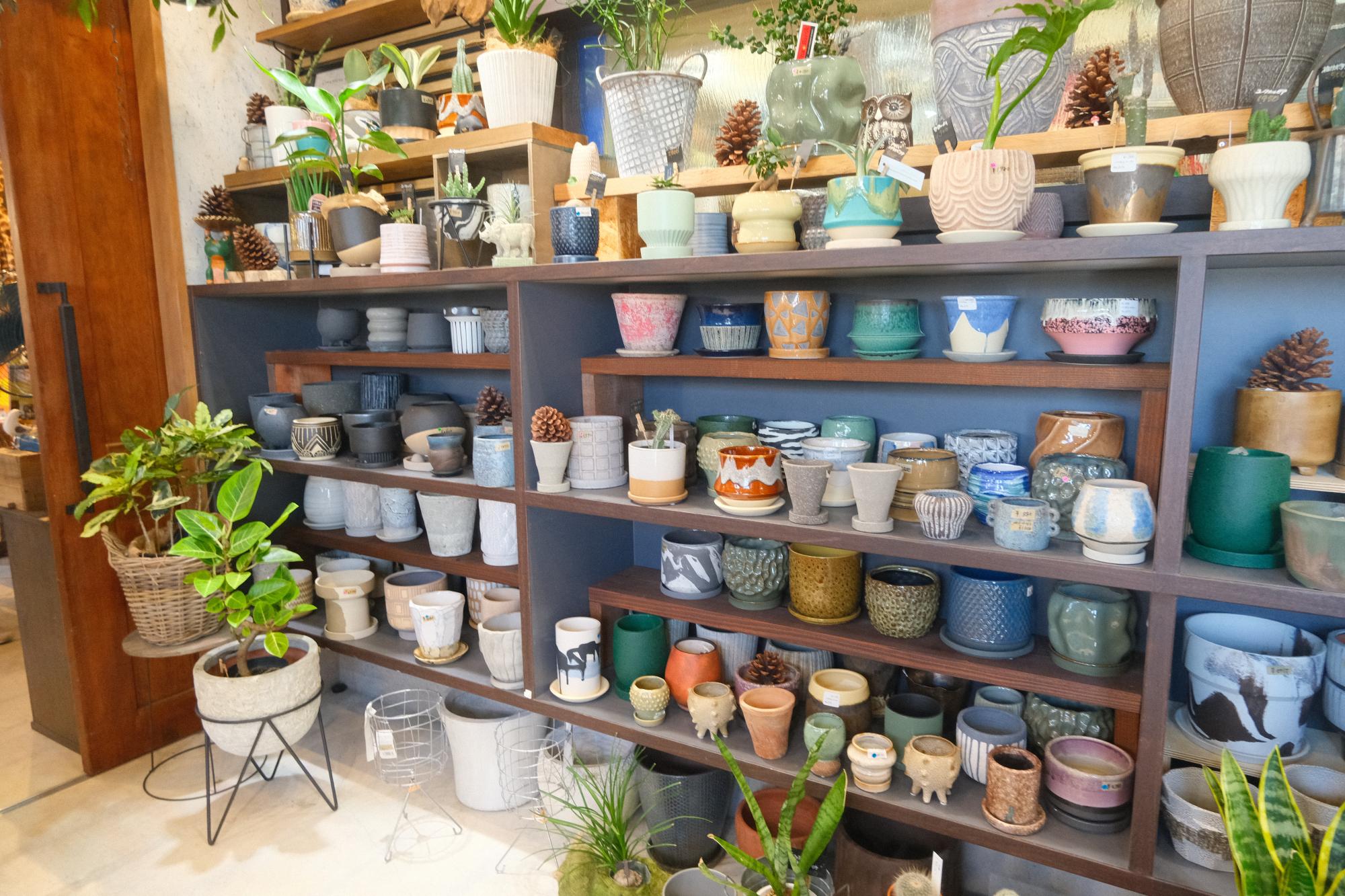 お気に入りの植物たちとのマッチングを楽しめる、花器も充実しています