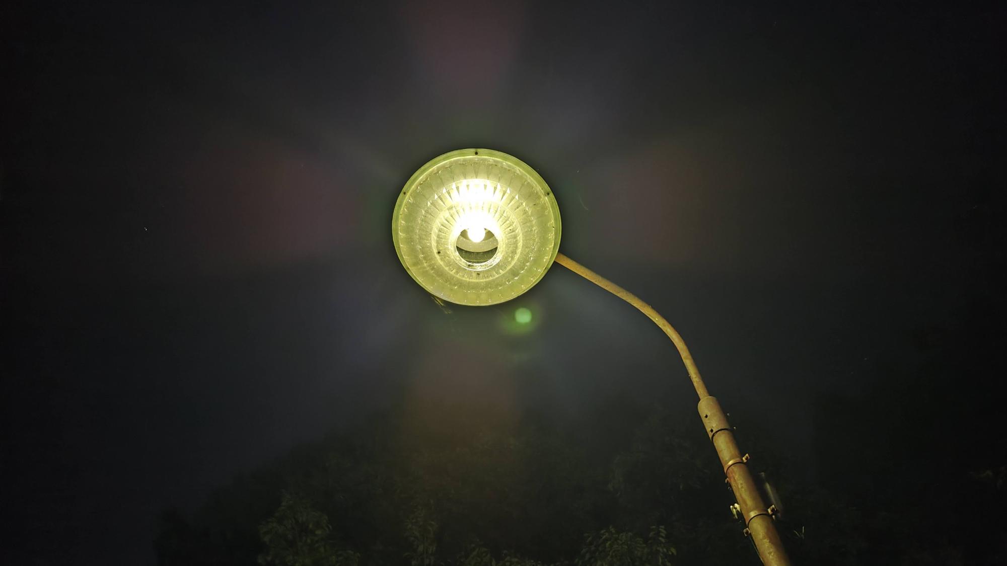 写真では見えないですが、羽音を立ててカブトムシが飛んでます