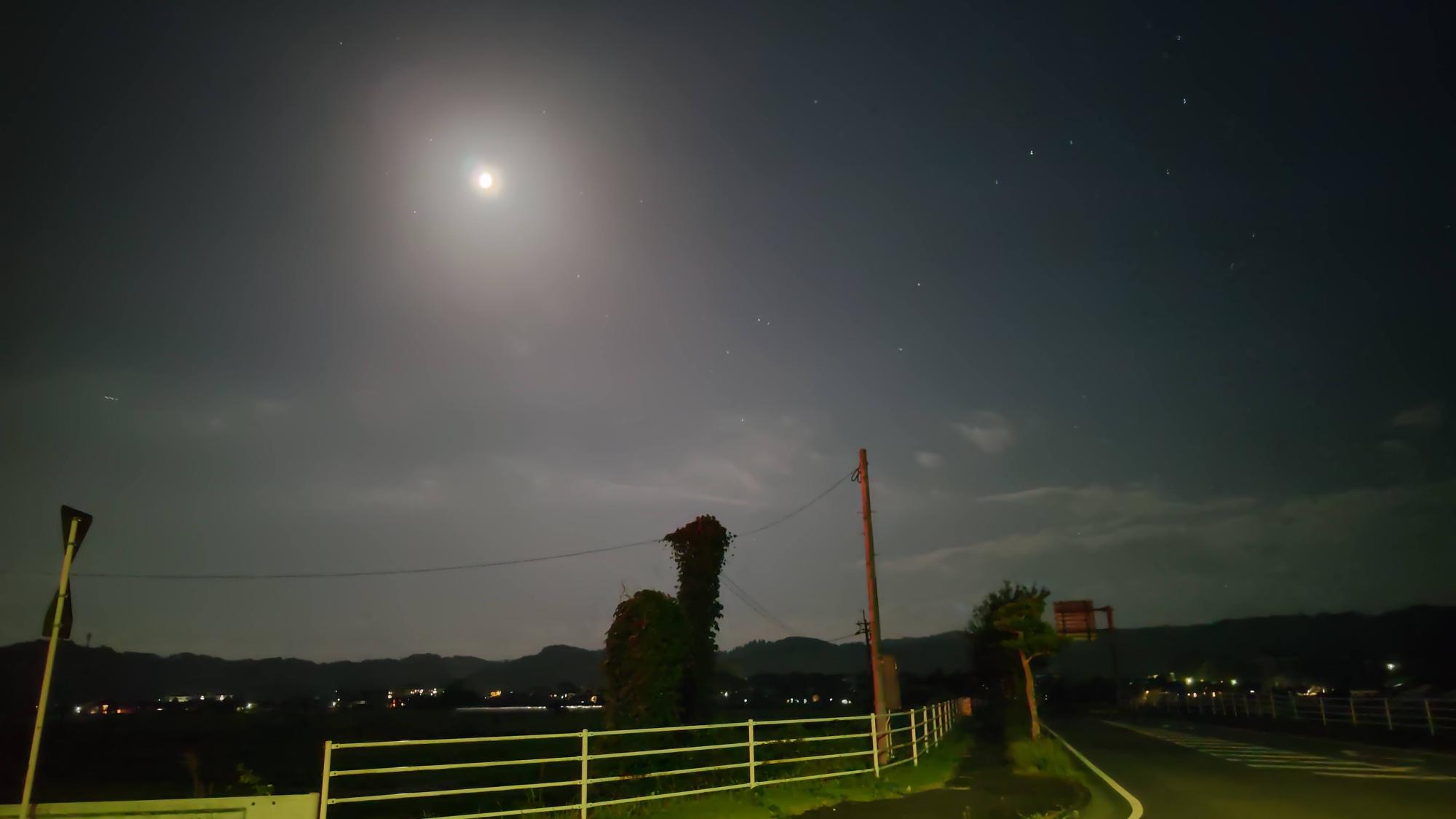 カブトムシも良いけど、大人はきれいな月をじっと眺めていたくなりますね