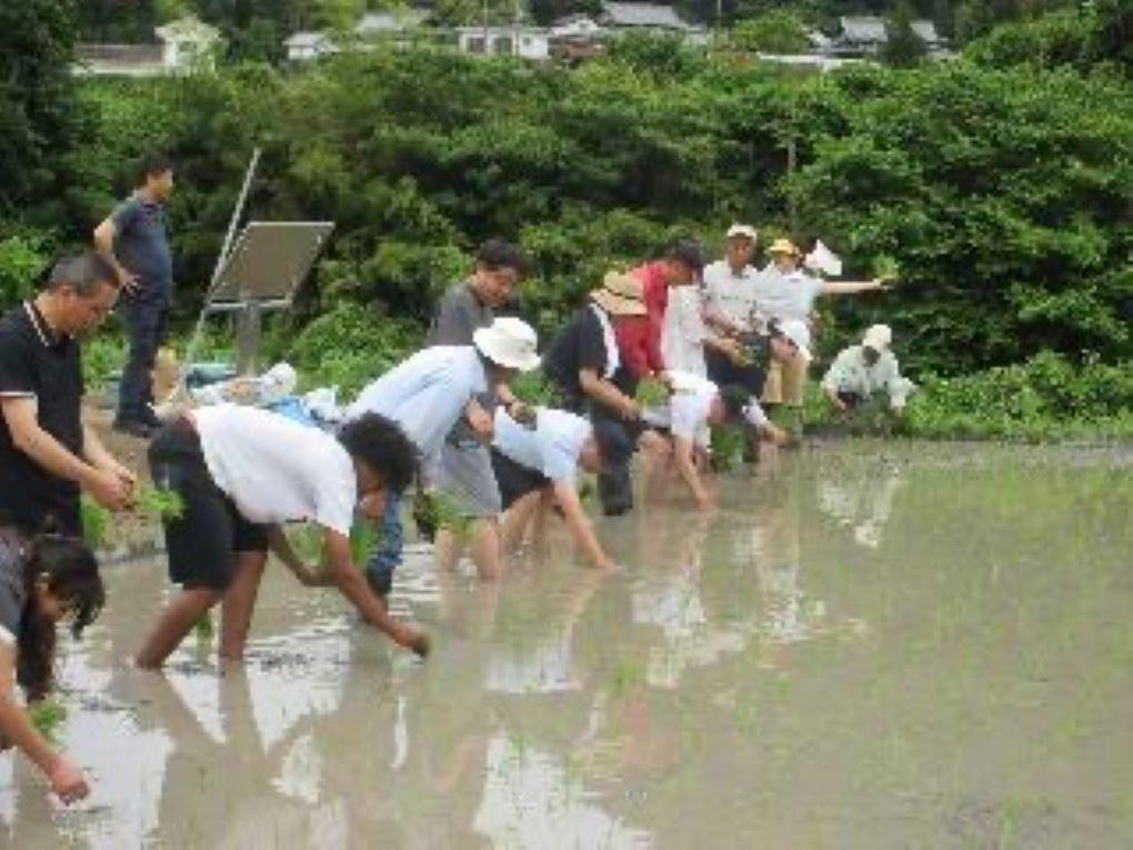 大木小学校の生徒たちと田植え体験をしたときの様子(画像提供：佐野中学校 夜間学級)
