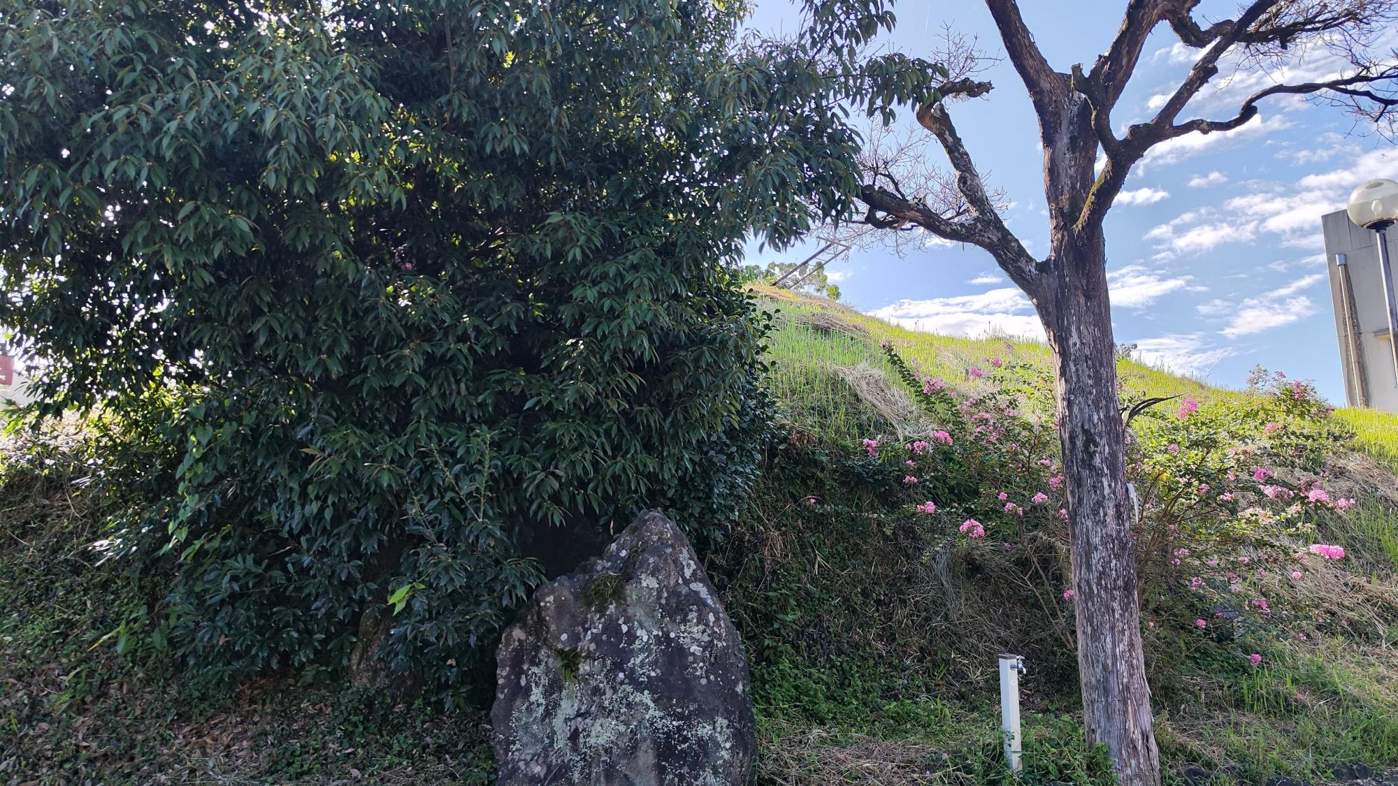 37号墳 (上長塚古墳)