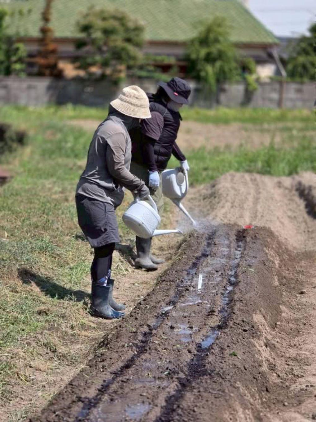 種が隠れる程度に薄く土をかぶせ、水やりをします(画像提供：泉南農業塾)