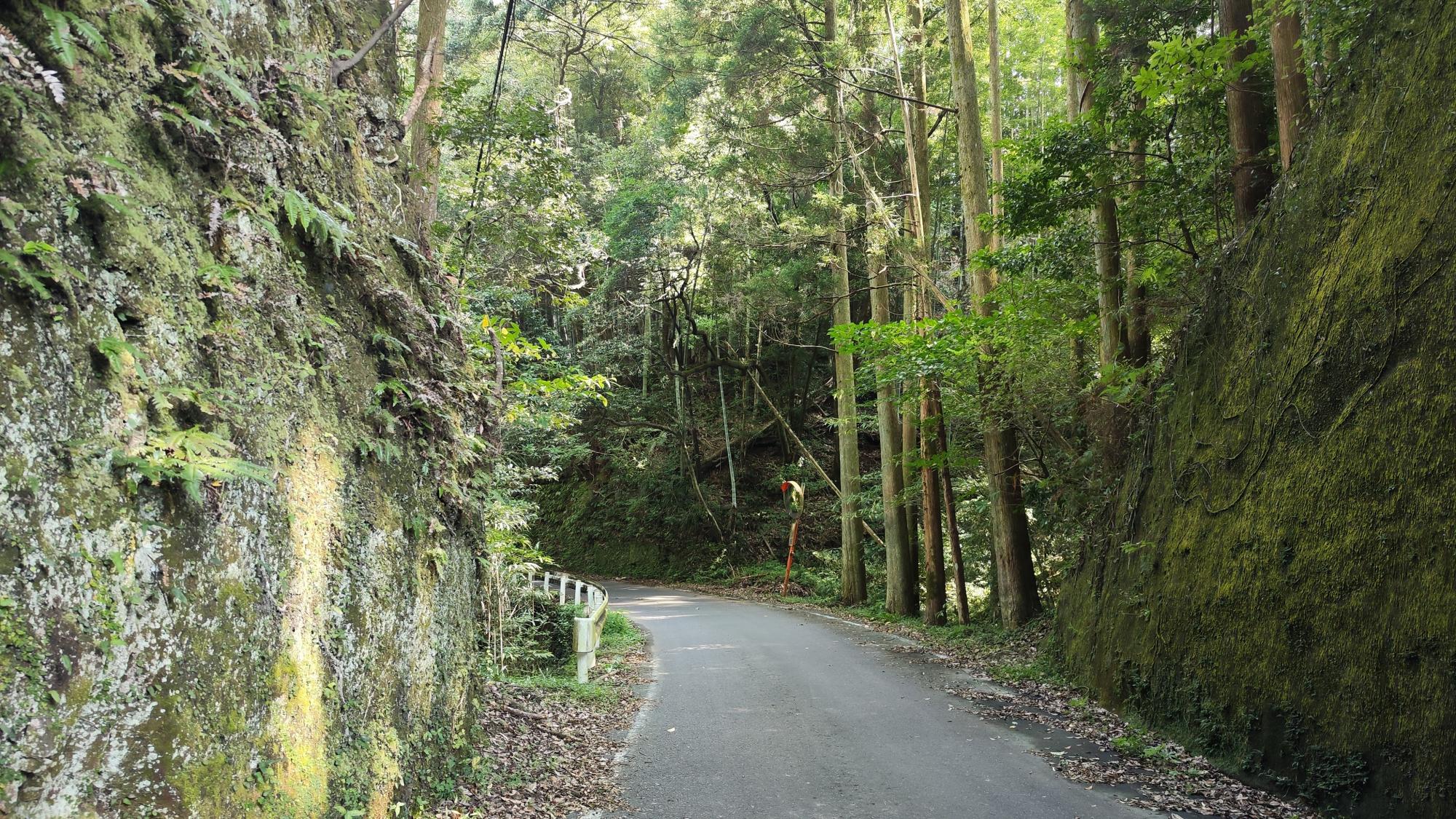 県道40号線から319号線に入ります