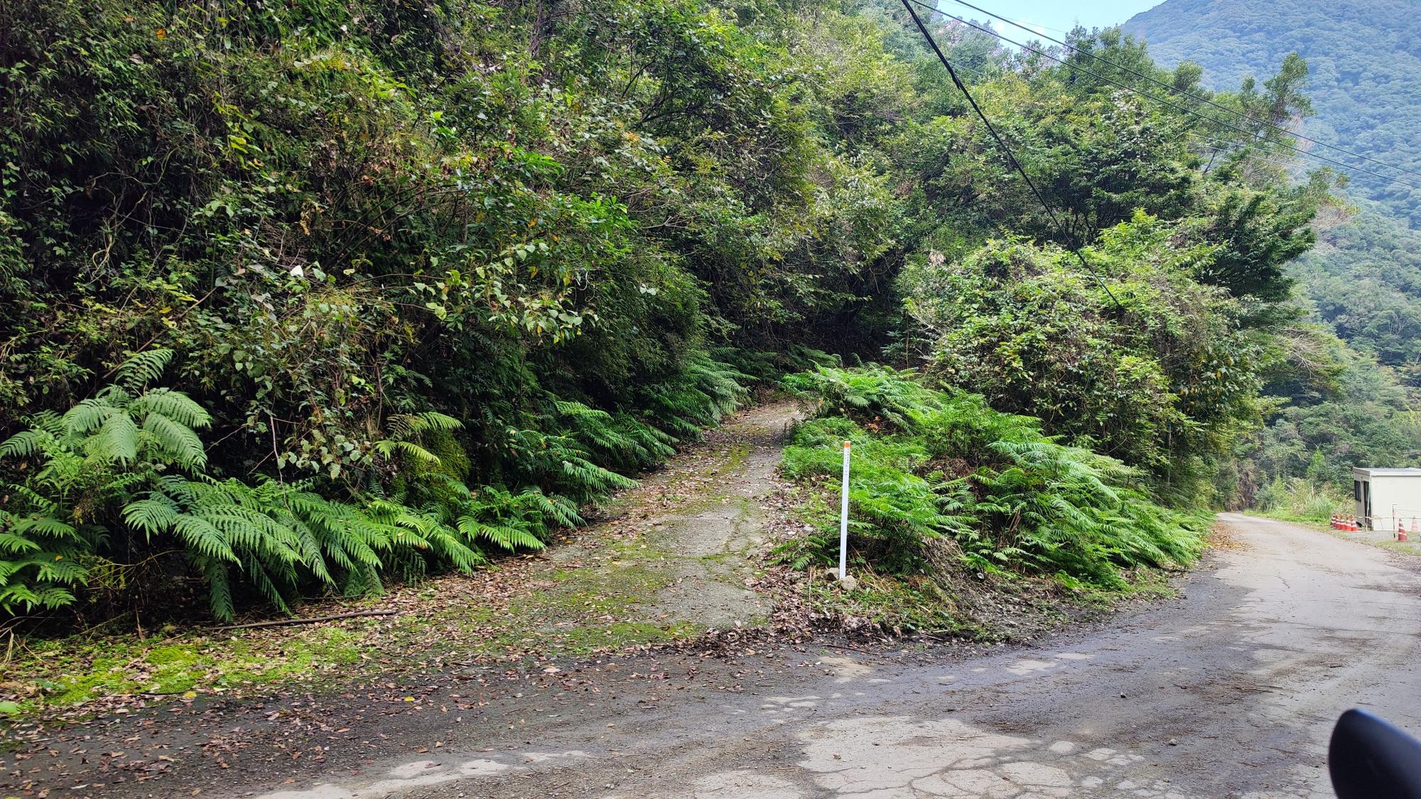写真中央の狭い登り道を進んでいくと集落跡です。2～3キロほどでしょうか