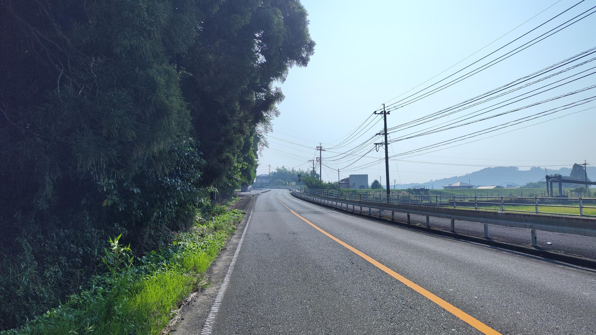 森永方面