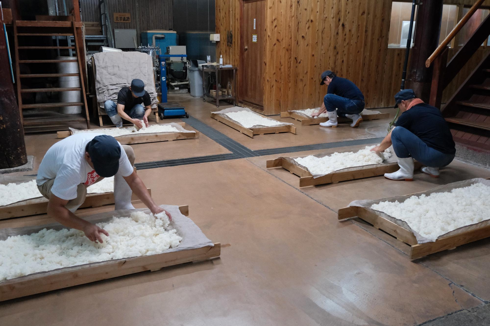 山田錦は収穫が遅いこともあり、この時期は古米を使用します