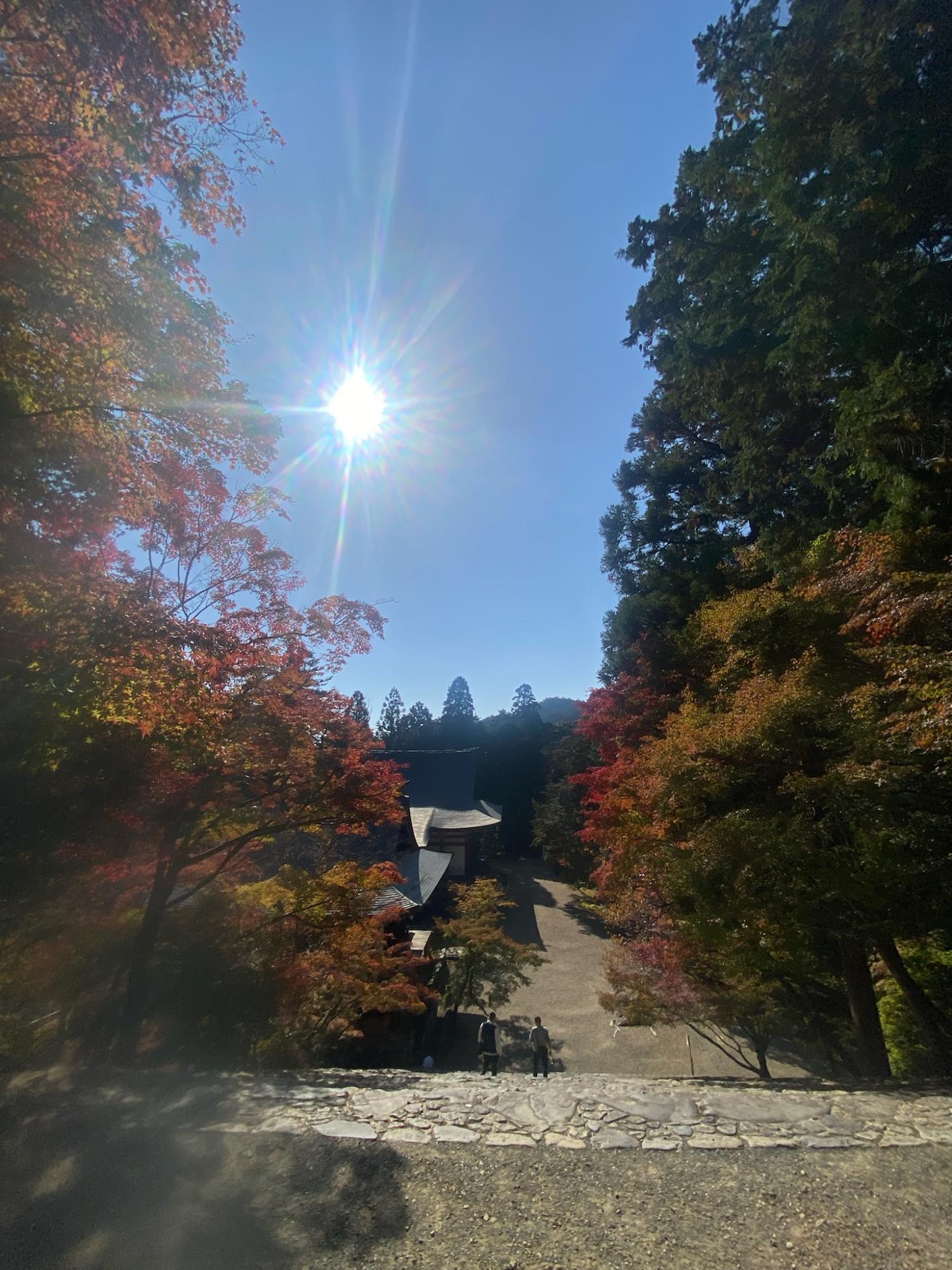 2024年11月撮影