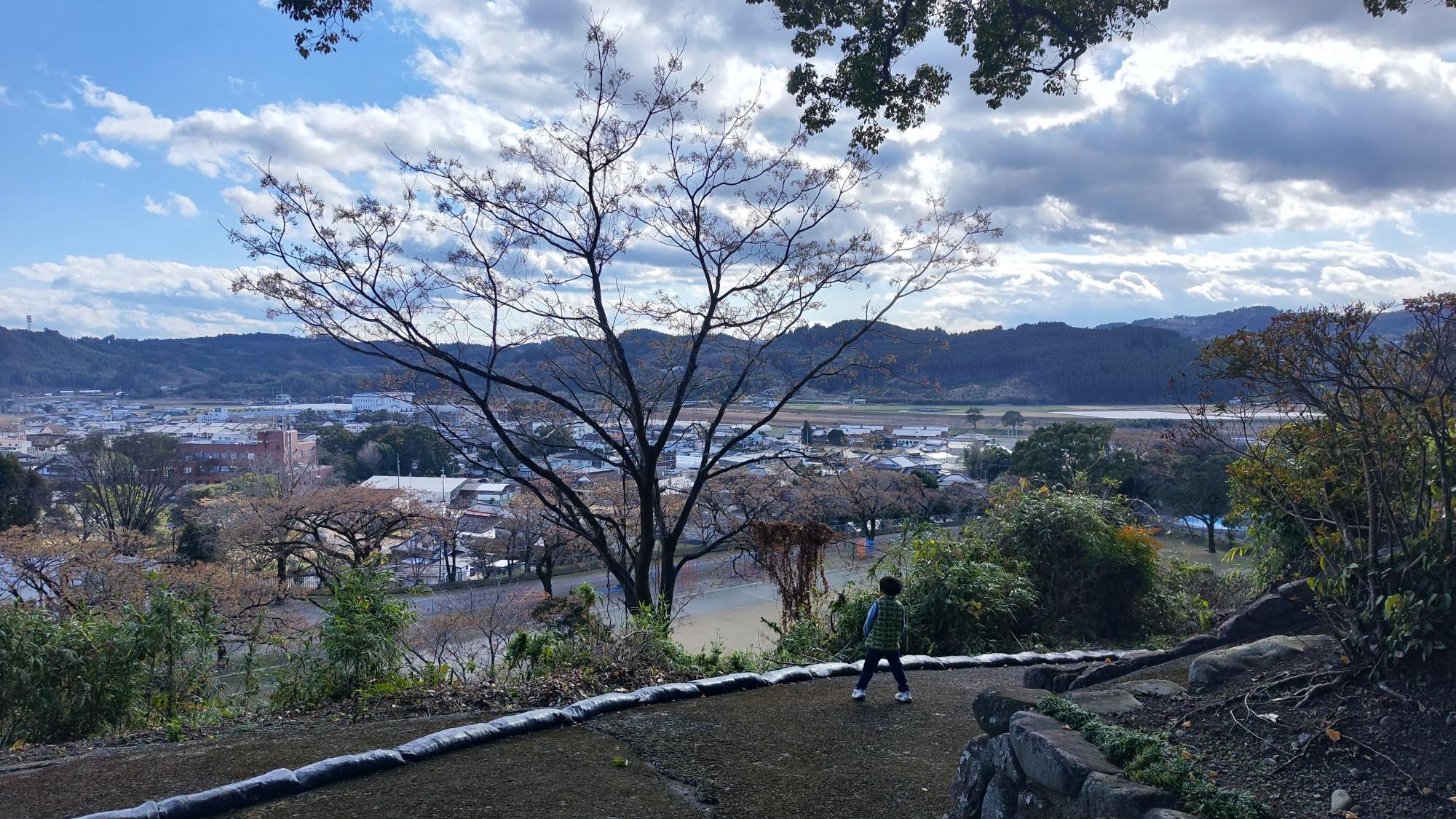 護国神社のある丘から眺める綾の街並み