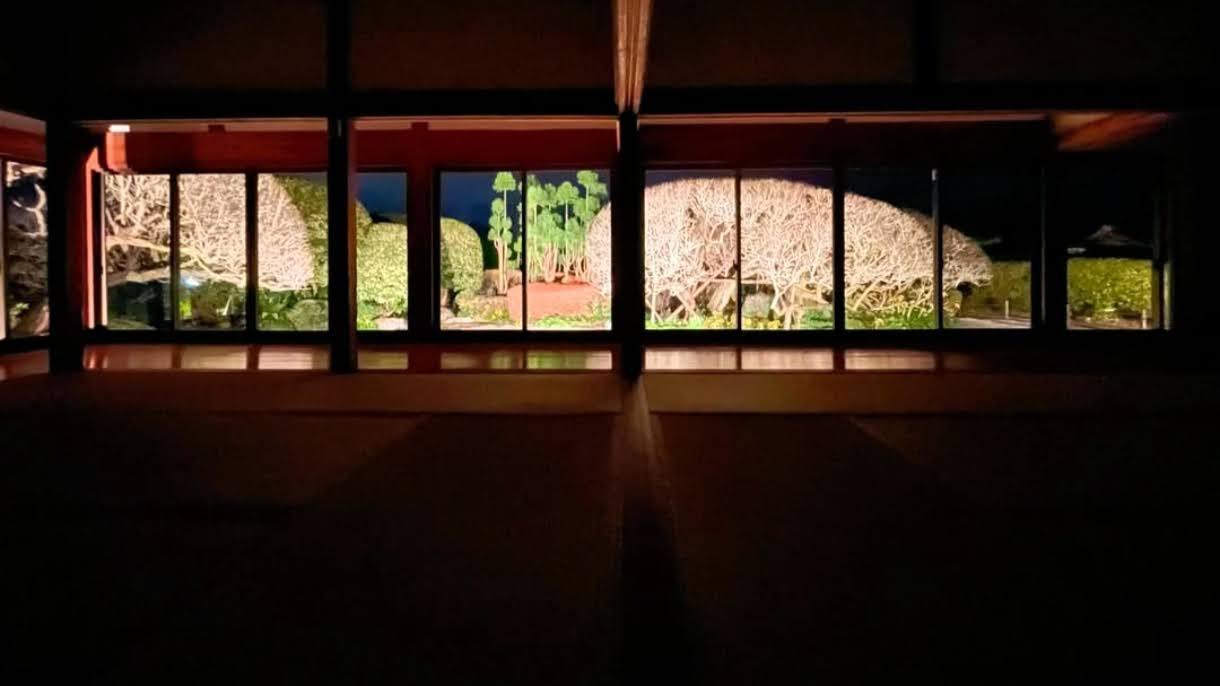 ライトアップされた庭園