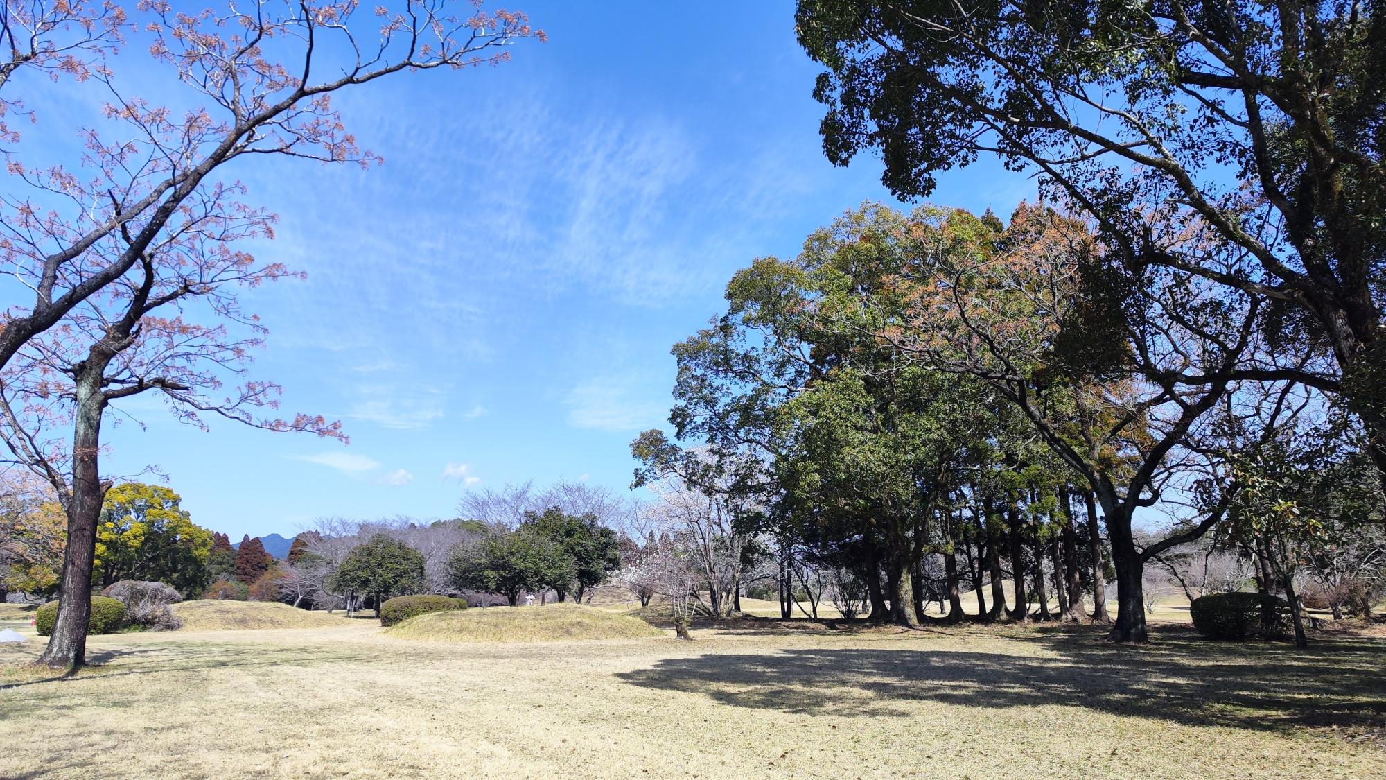 西都原第2古墳群。小さな古墳が点在し、のんびり散策できます