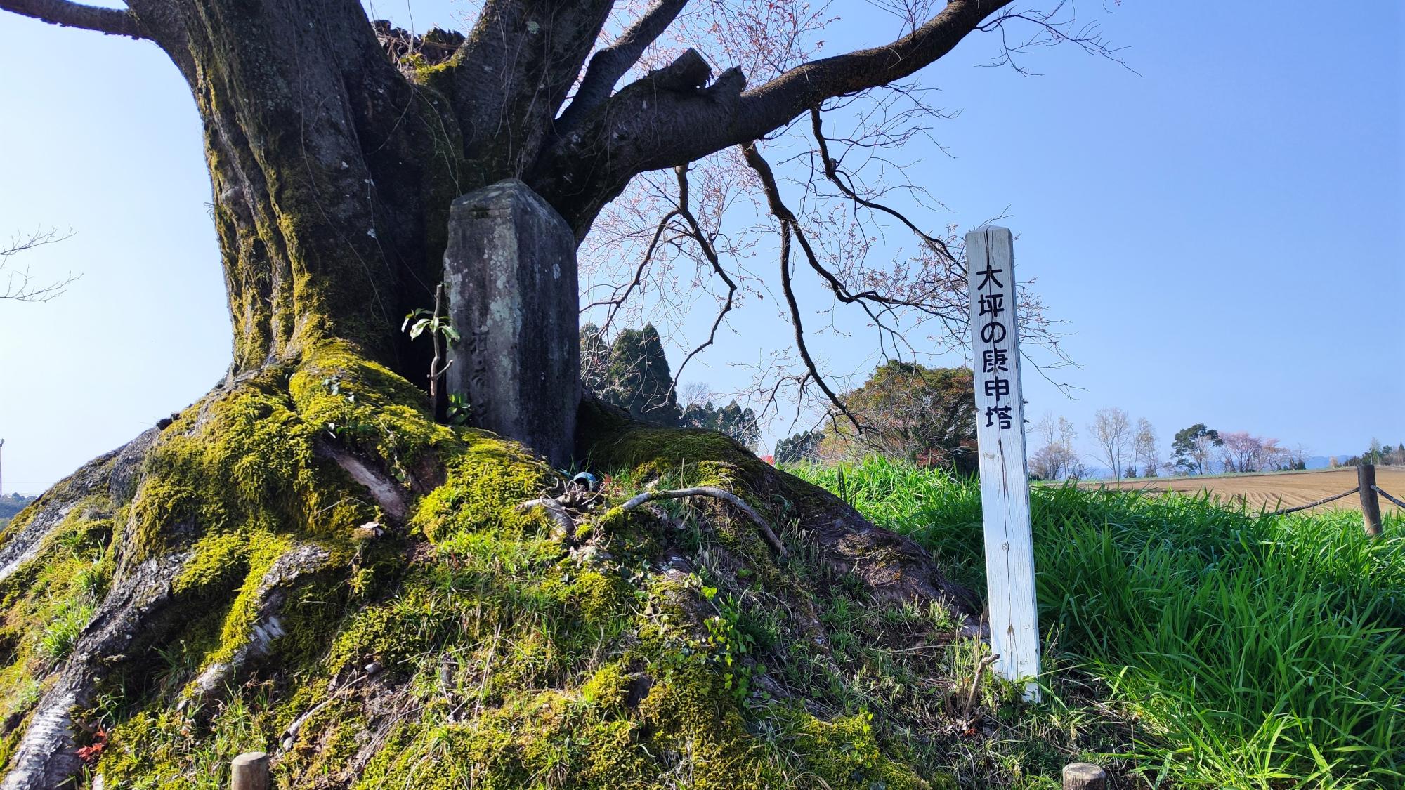 大坪の庚申塔