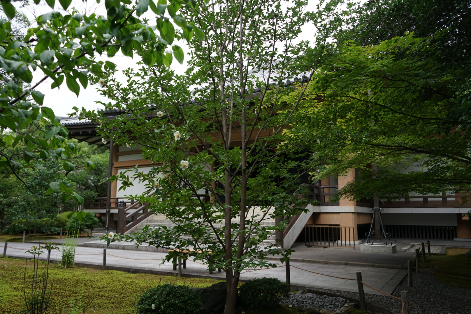 白い花と宝物殿