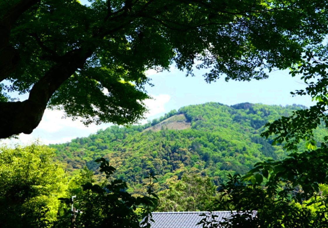 『大文字』の大が見れる！