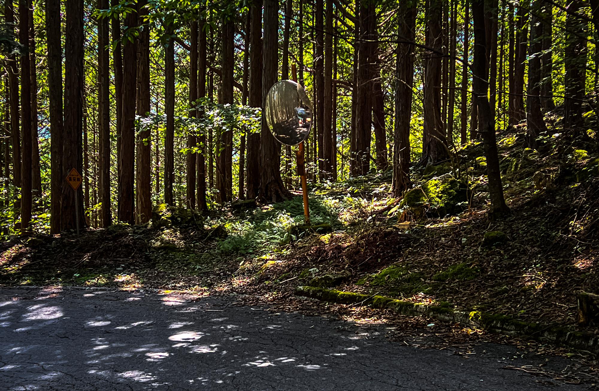 ライトオンは自らの存在を主張する手段になります