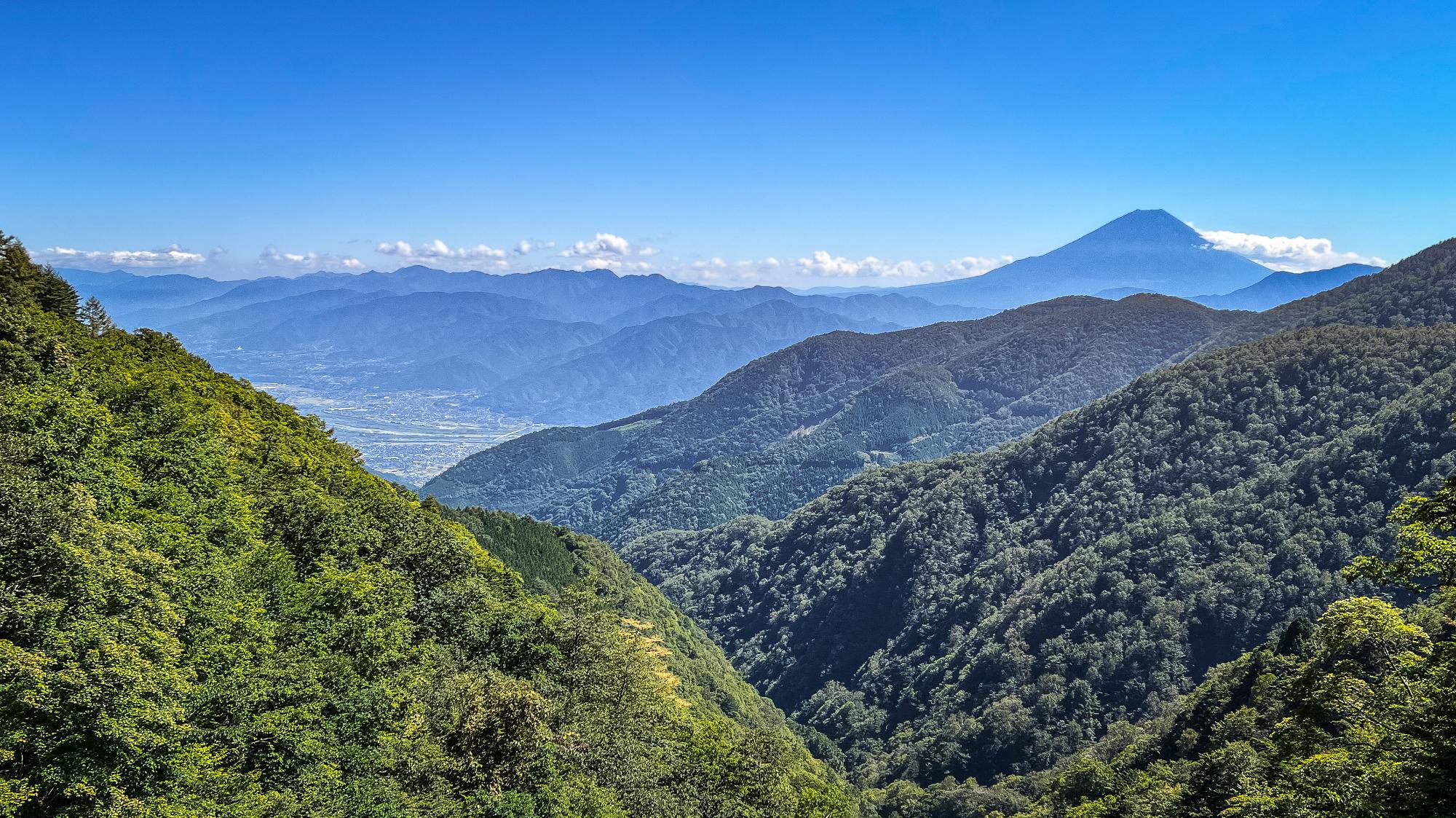 眼下には富士川の流れと街並み