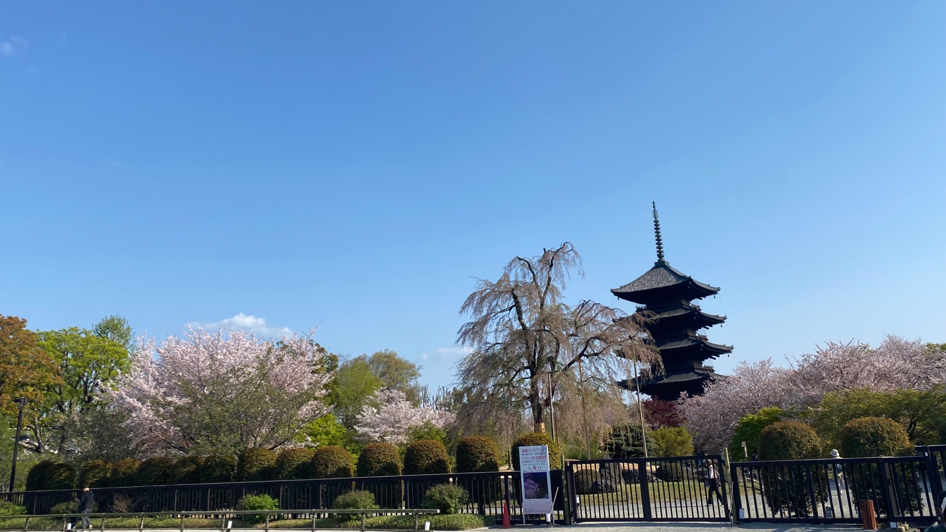 東寺 五重塔