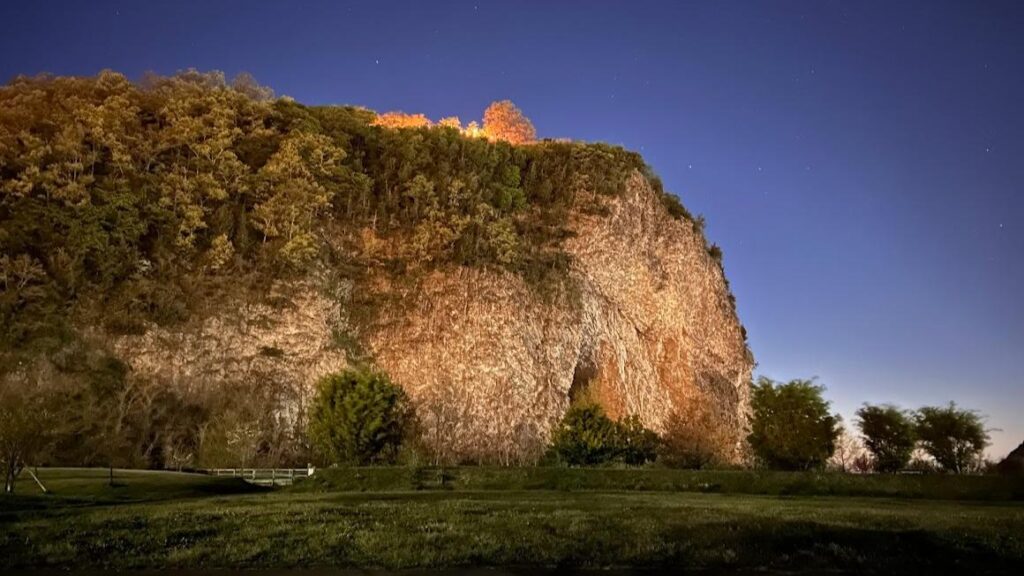 【上田市】断崖に咲く希少な花 モイワナズナと夜の大パノラマ プチハイク気分で出かけよう！