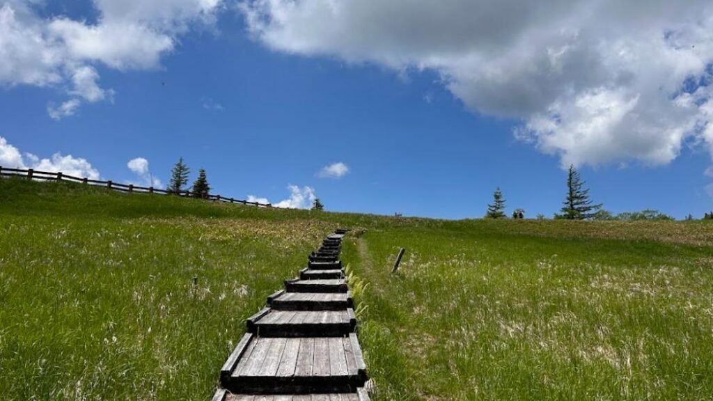 【上田市】世界の天井が抜けたかと思う空　そこに咲く希少な花 アツモリソウ