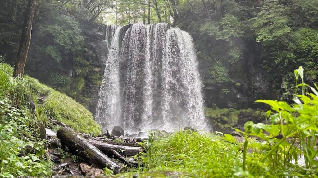 【上田市】とにかく涼しい！高原の名瀑 雨後は迫力の景色も