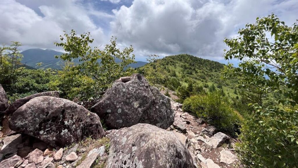 【上田市】子どもと一緒にでかけよう！夏の親子登山は烏帽子岳へ