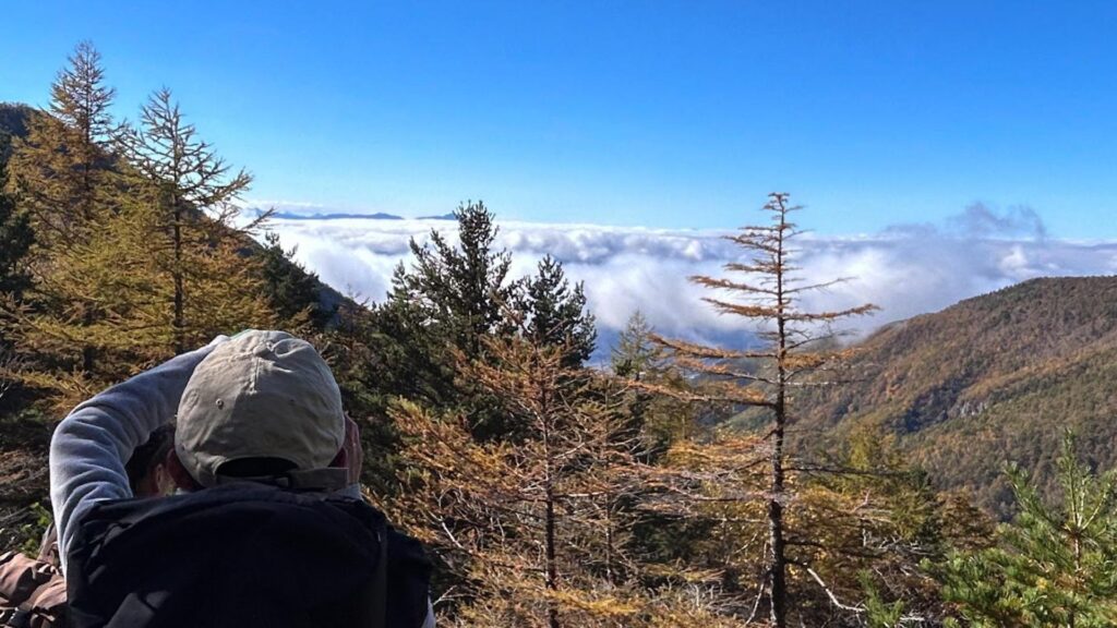 【小諸市】雲海シーズン！紅葉＆絶景ハイクが楽しめる天空の散歩道 高峰高原から歩く水ノ塔山・篭ノ登山