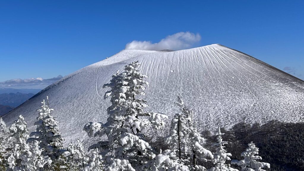 【小諸市】浅間山の冬景色「ガトーショコラ」今年は砂糖たっぷり！クリスマスツリーも仕上がりました