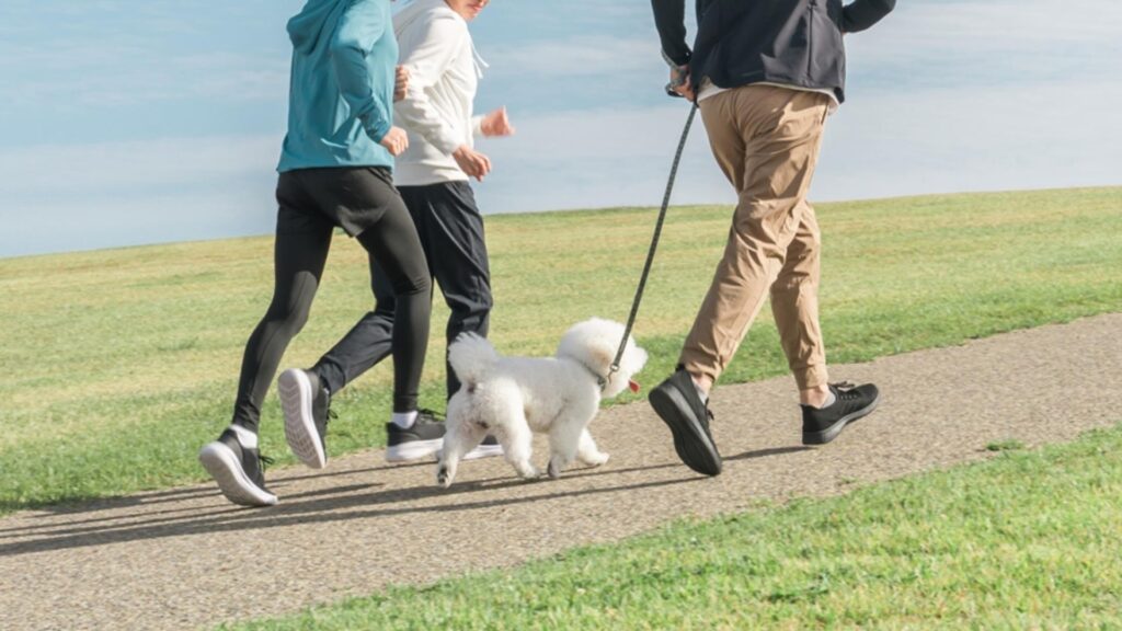 【小諸市】武藤千春さんに聞く『ペット防災について』1/26(日)講演会と同伴避難体験も