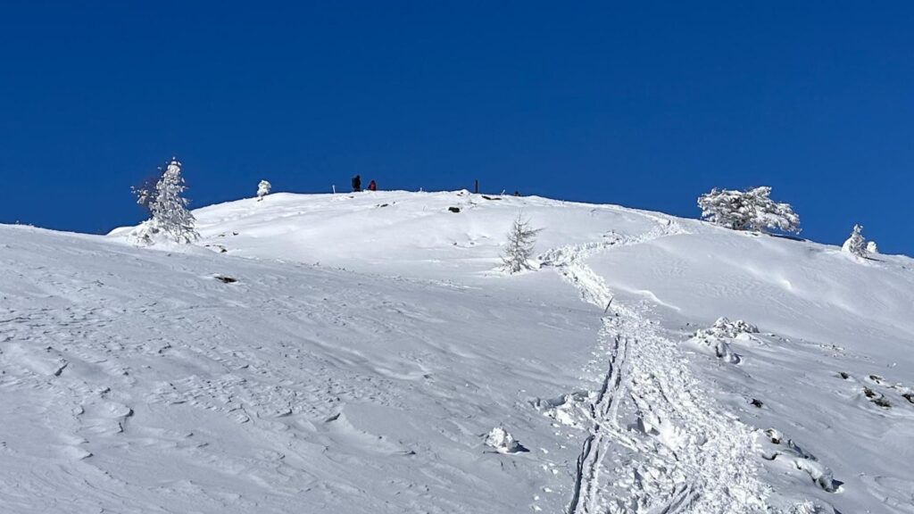【東御市】スノーハイク「だったら湯の丸！」さらさらパウダーとアルプスの大展望　贅沢すぎる冬時間を