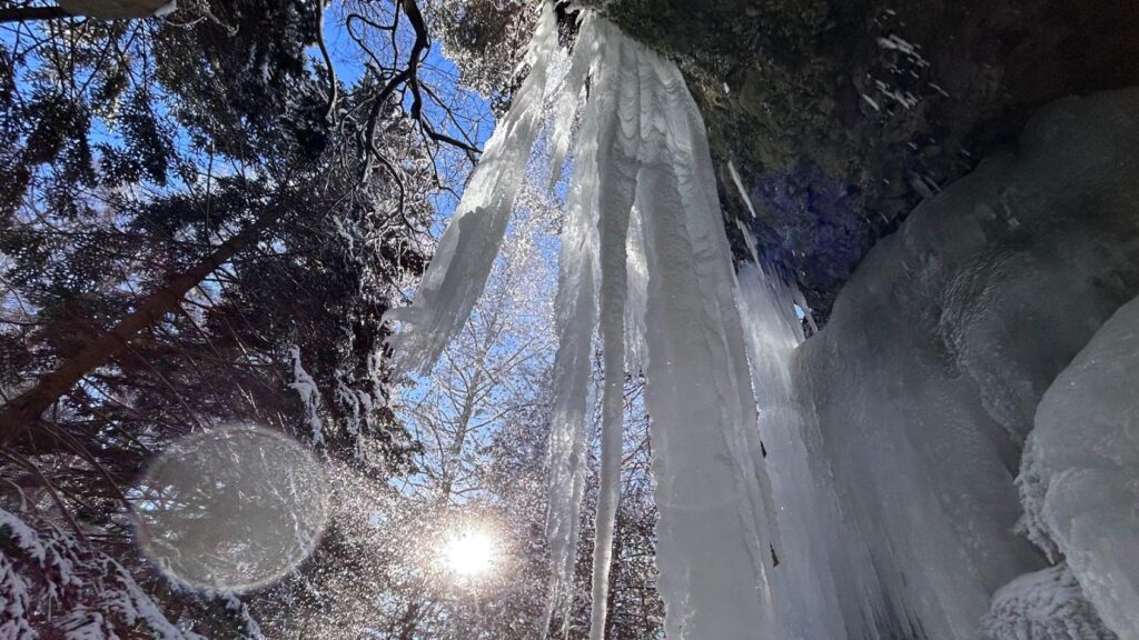 【小諸市】寒波が刻む氷のアート 小諸の氷瀑 見るなら今！