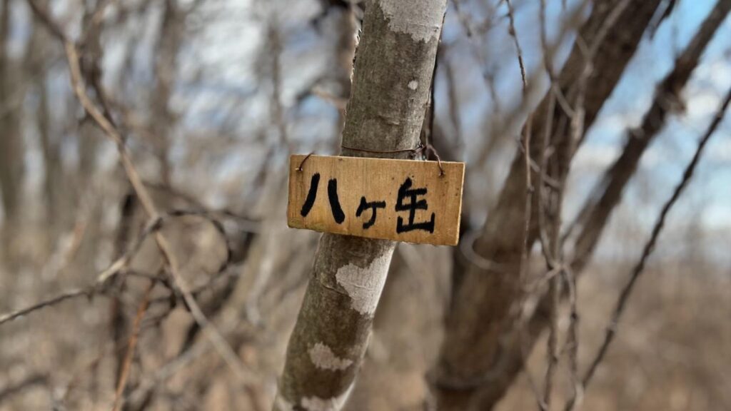 【小諸市】手ぶらで行ける八ヶ岳？山頂プレートが…衝撃すぎる！ ユルさも楽しむ里山歩き